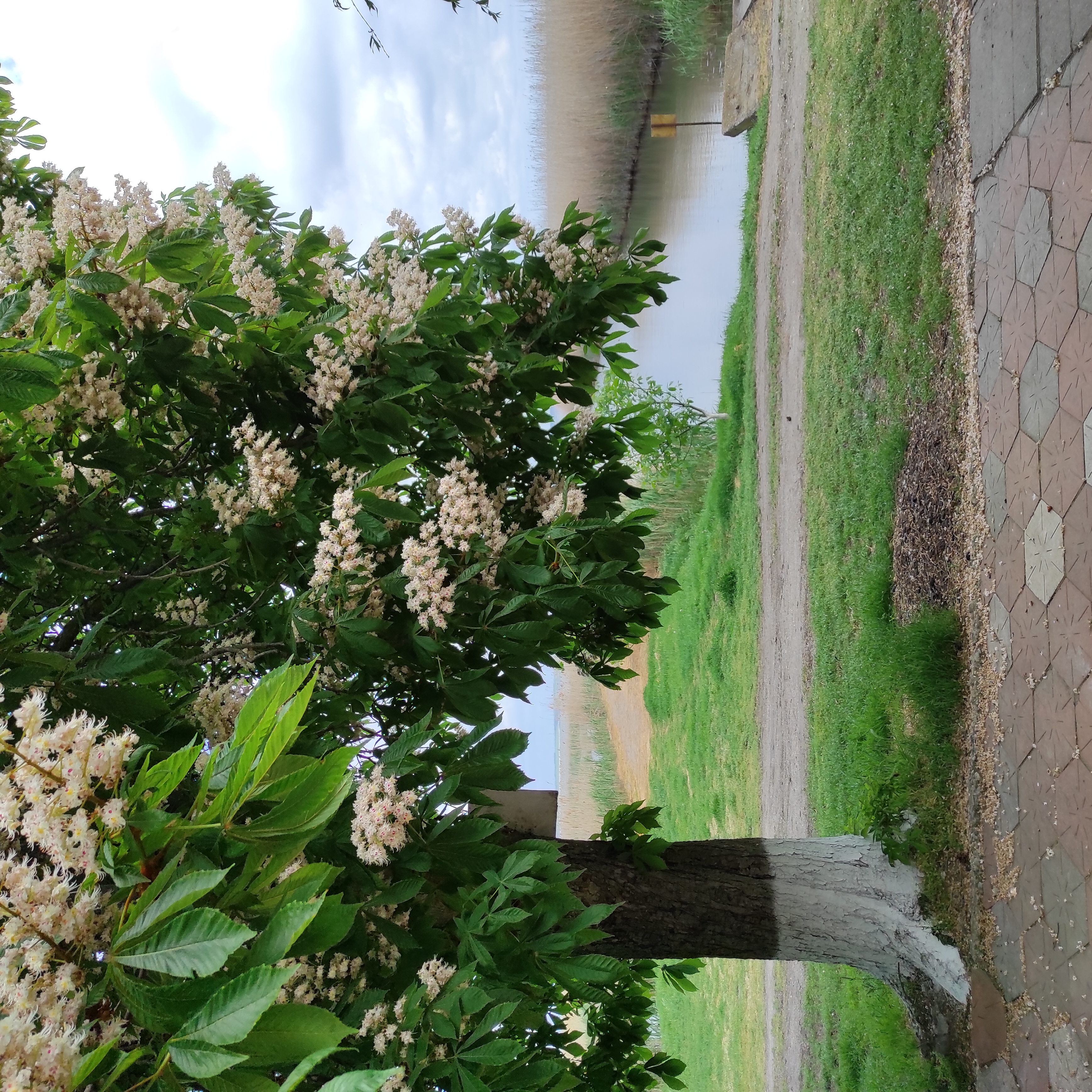 Фото Юность