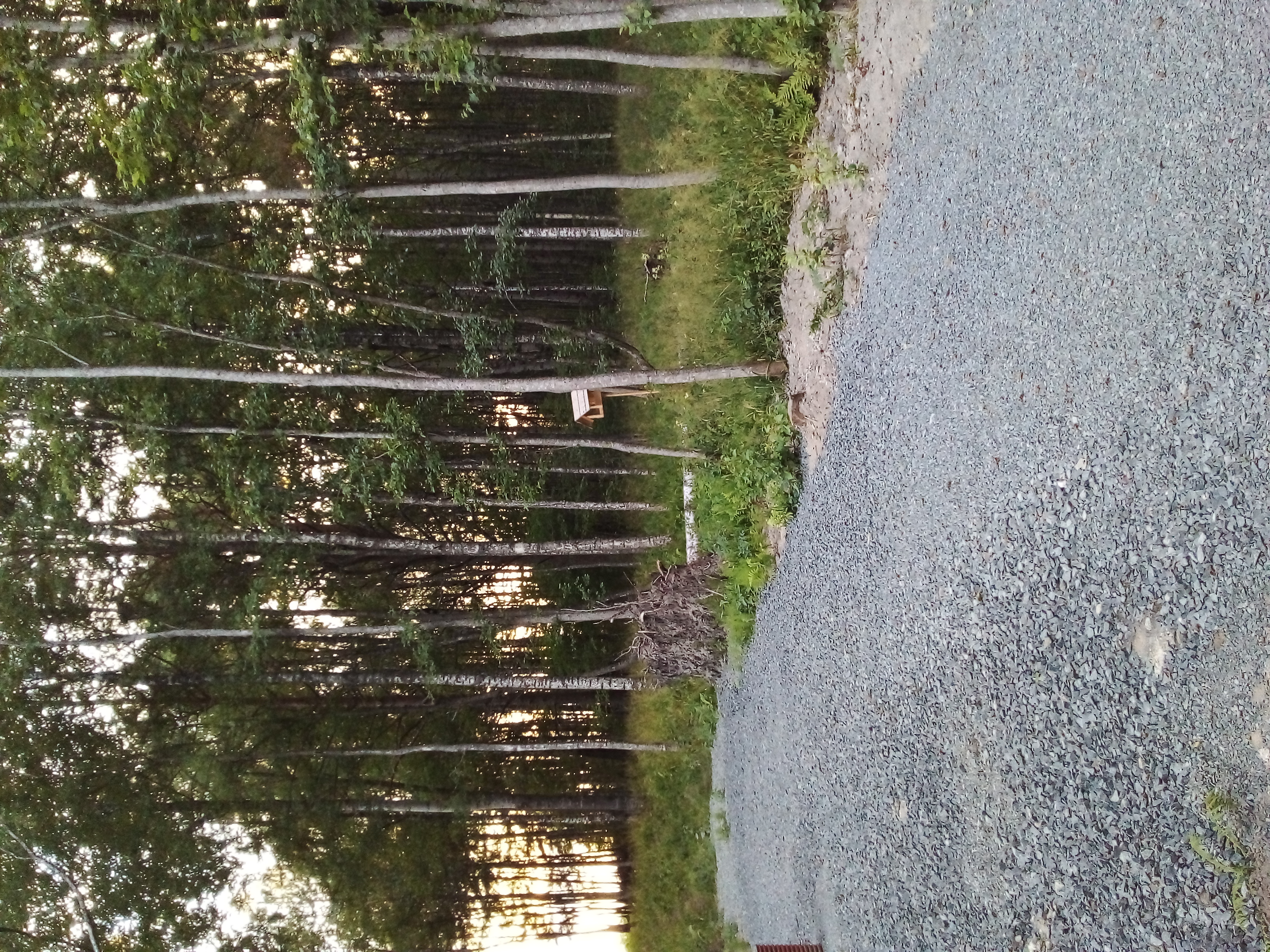 Фото Карельская сказка