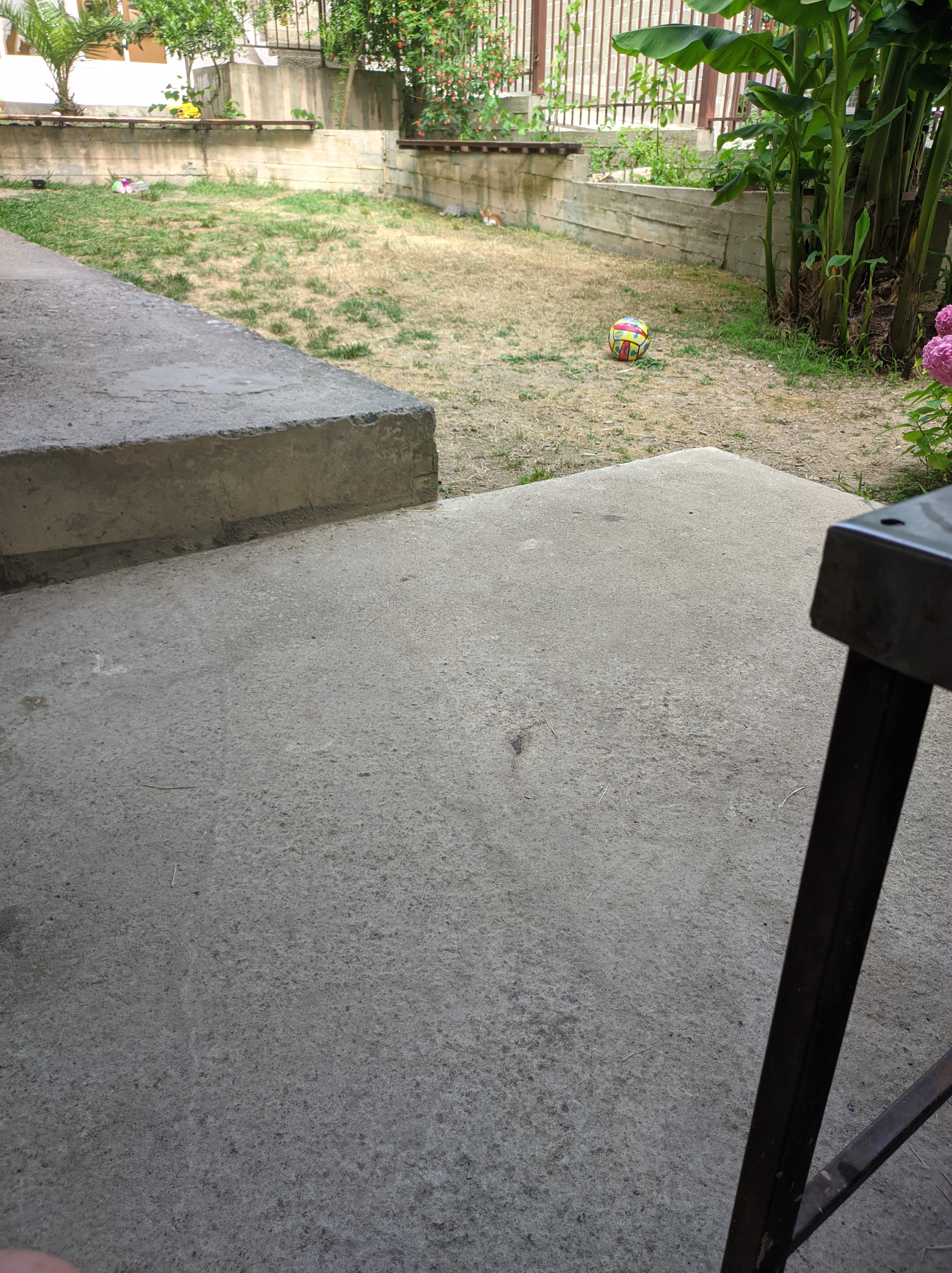 Фото Банановый рай