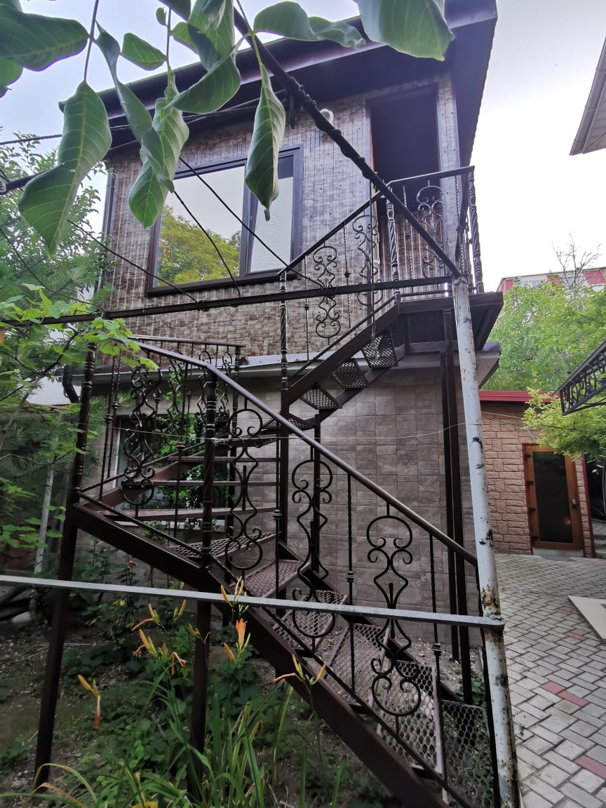 Фото Виноградная лоза