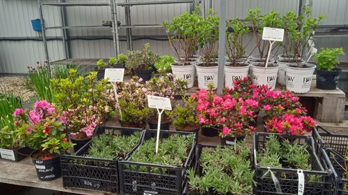 Бабяковский плодопитомник: адрес, телефон, режим работы - контакты и информация