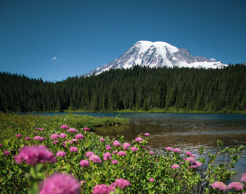 Внешний вид отеля Mayflower Park Hotel в Сиэтле, фото 5