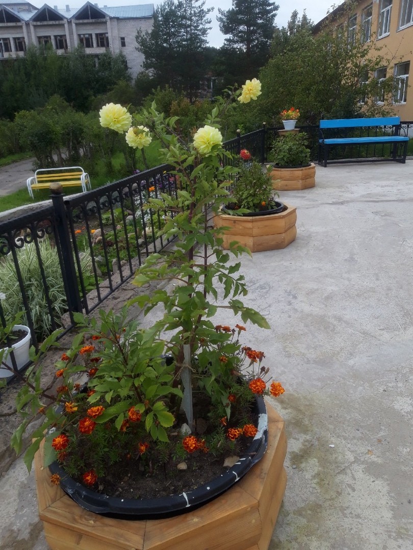 Фото Каменная гора