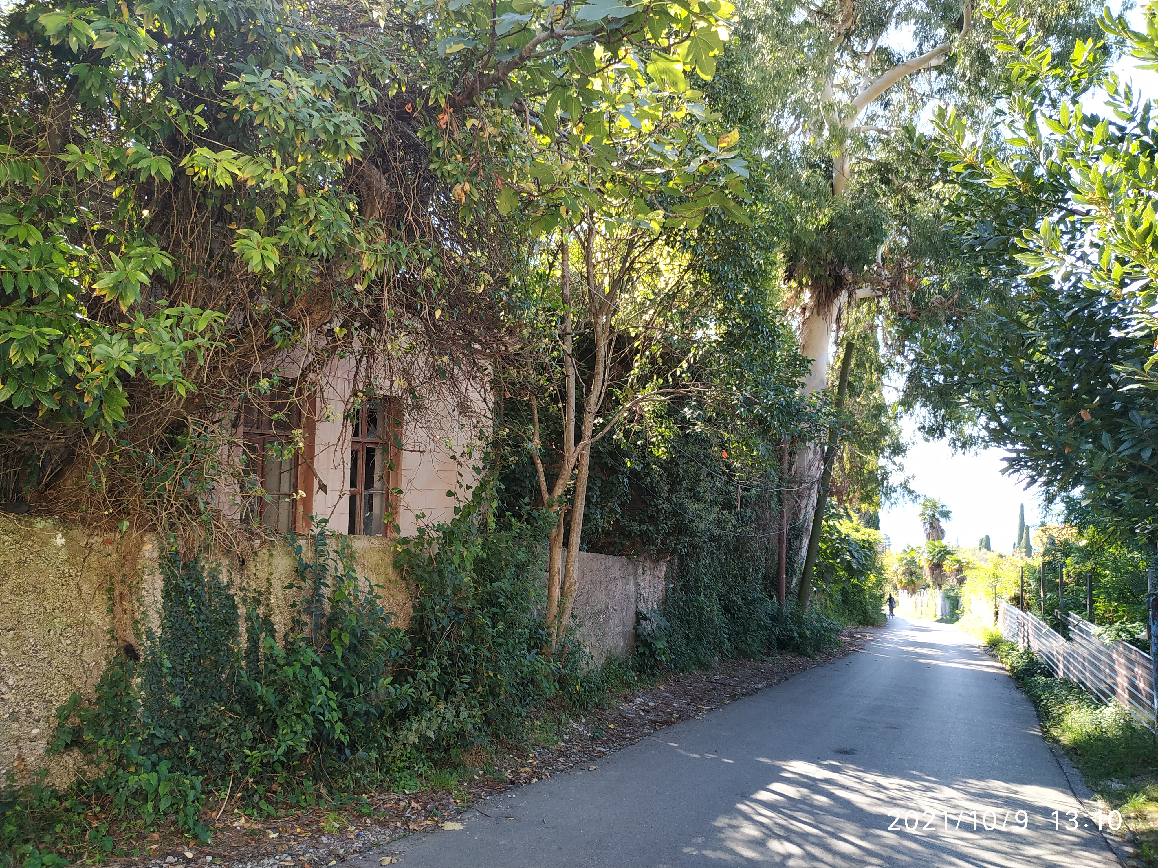 Фото Бестужеский дворик