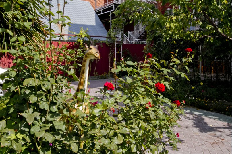 Фото Отдых у Александра