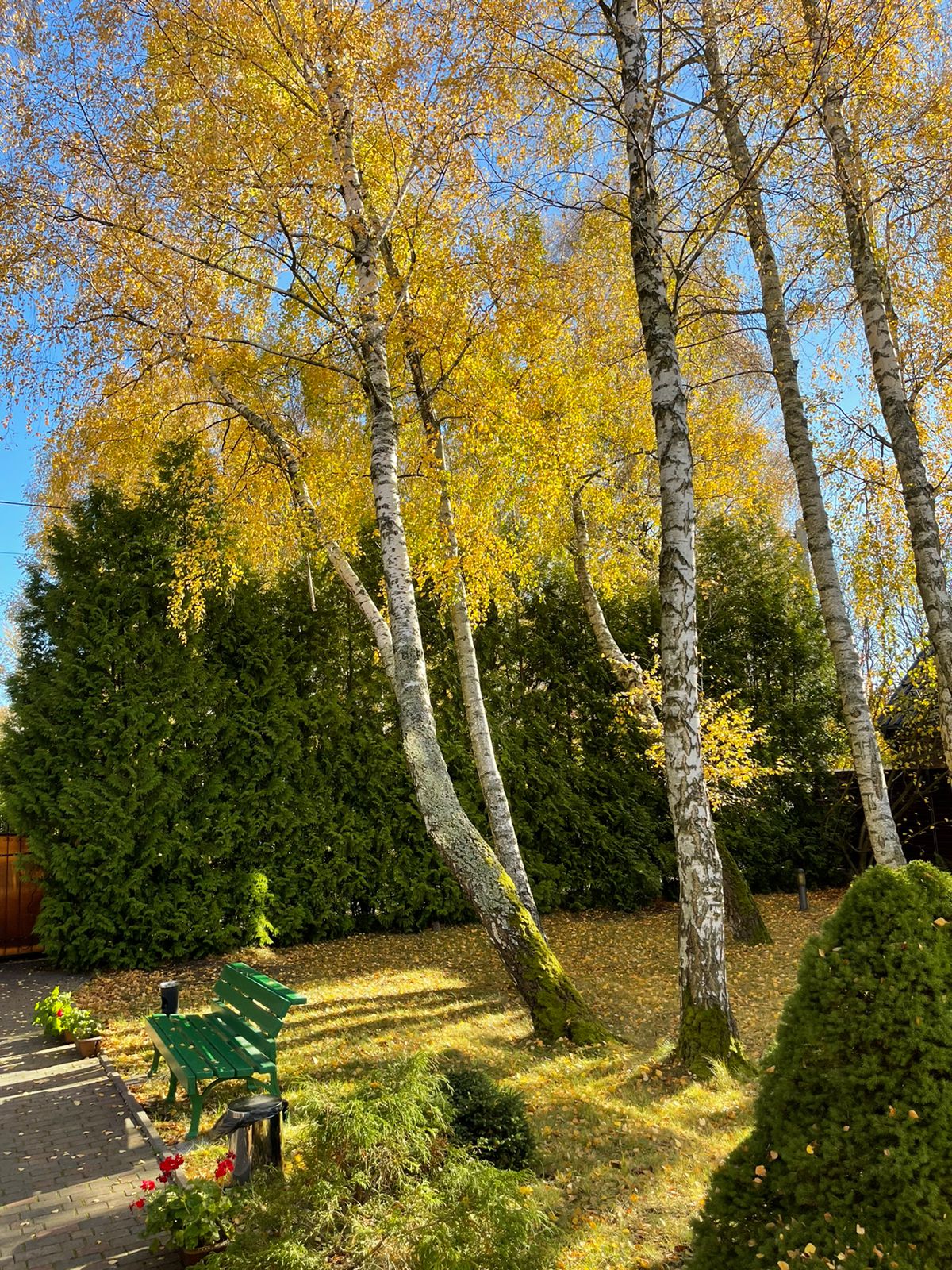 Фото Вилла Гренч