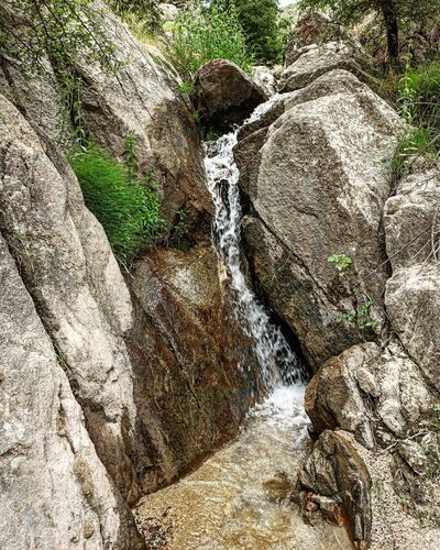 Erotikada etuk, tola ayollar