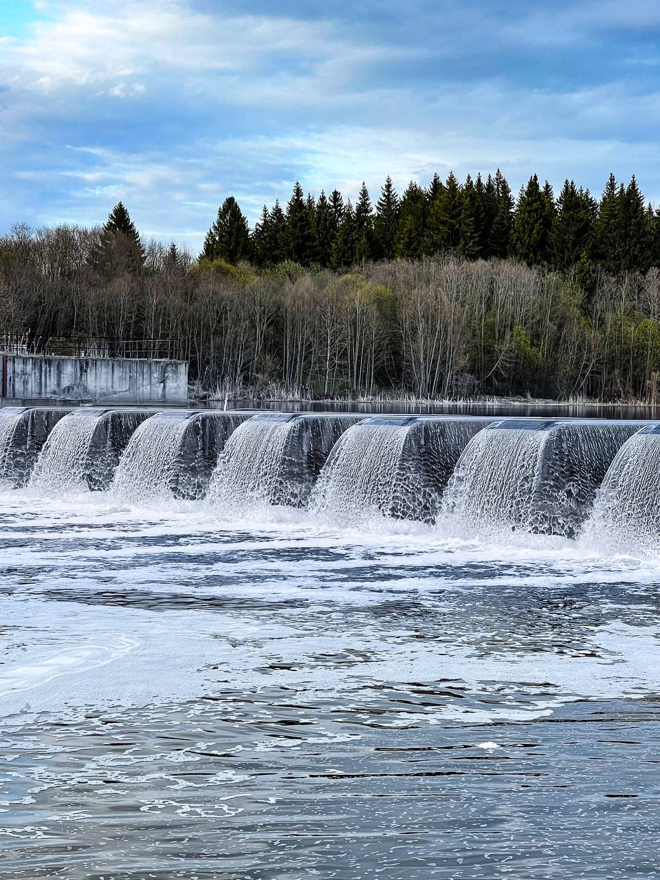 Фото Эль ранчо