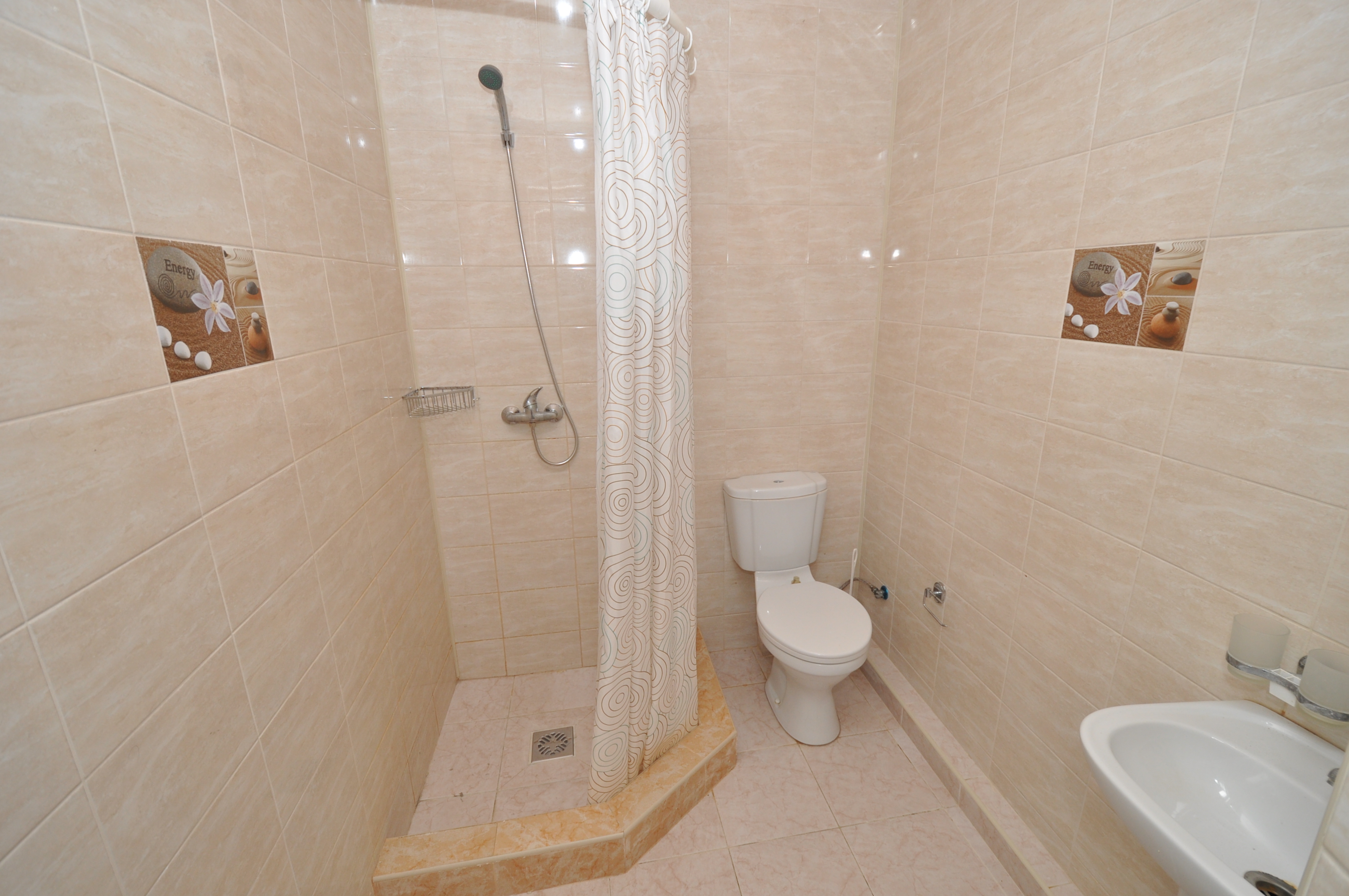 Фото Мангостин