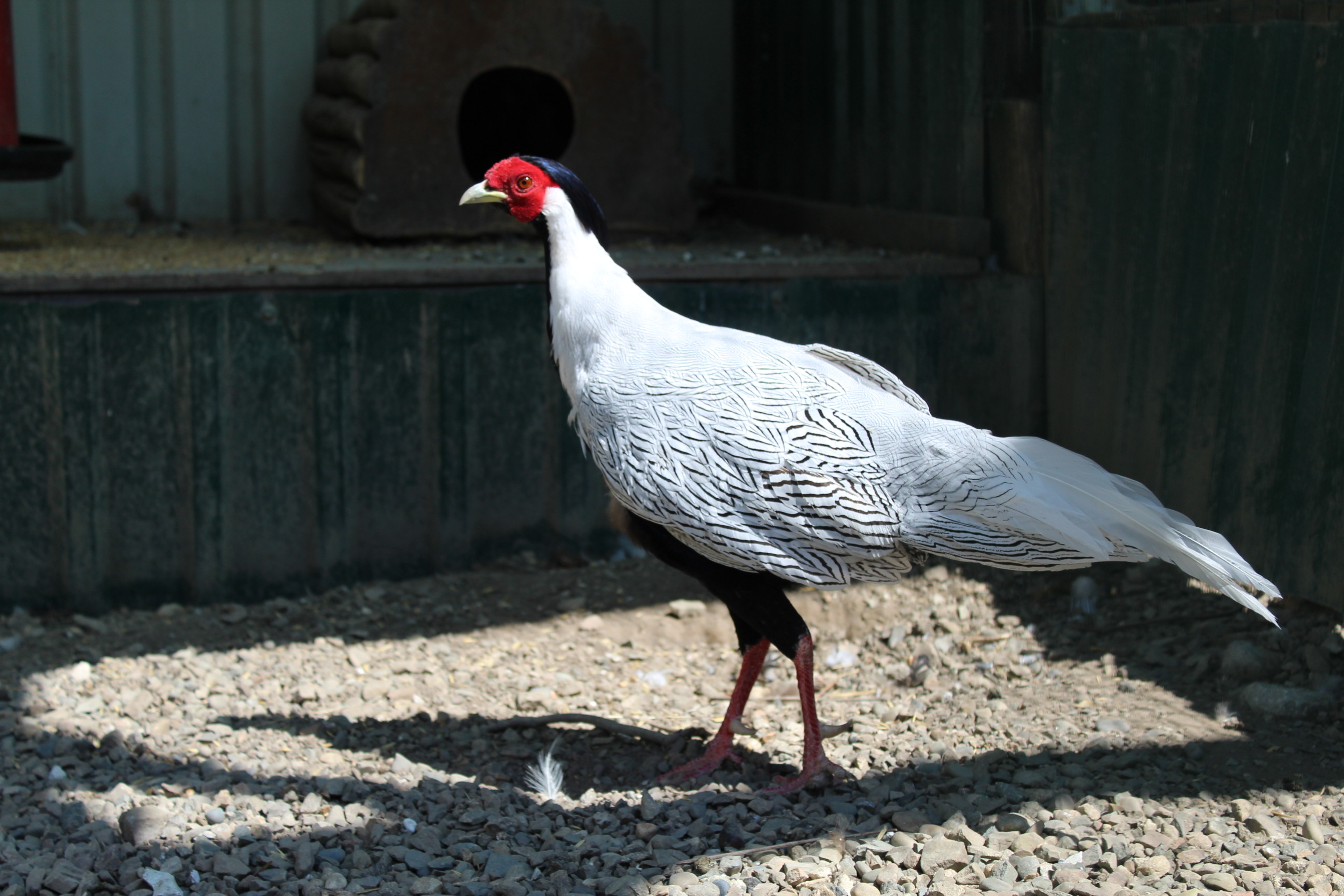 Фото Загородный дом на Мацесте
