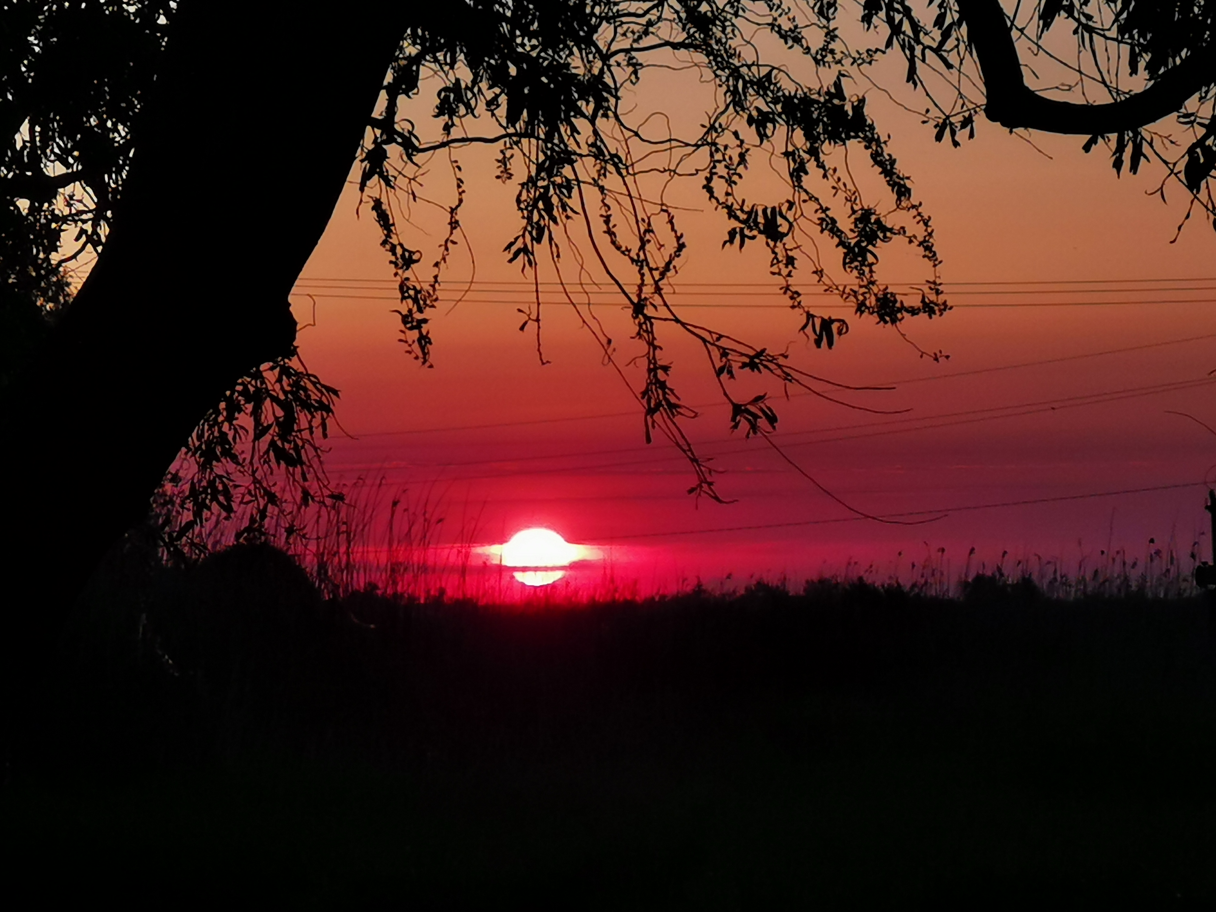 Фото Abrau Club на Плавнях