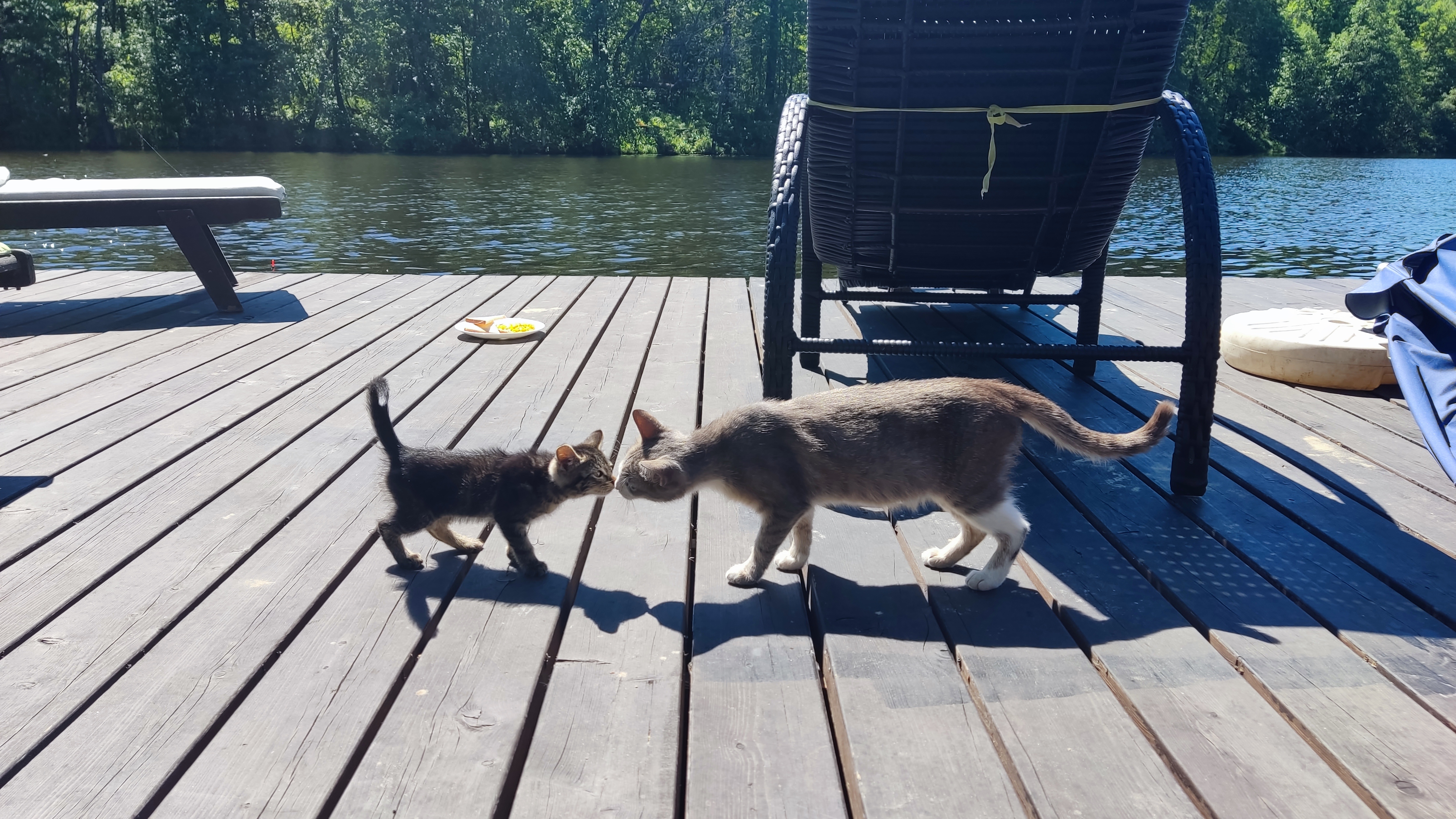 Фото Ильдорф