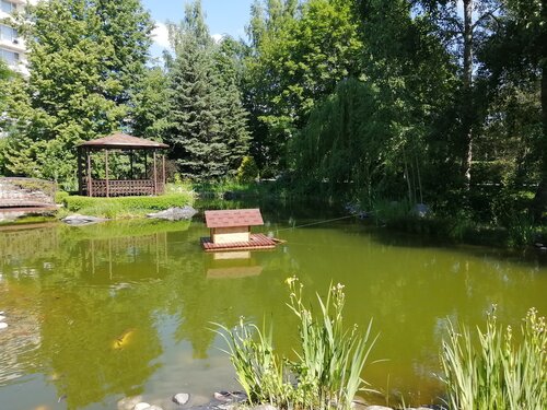 Учебно-тренировочный центр Новогорск (Соколовская ул., вл7, микрорайон Новогорск, Химки), спортивный комплекс в Химках