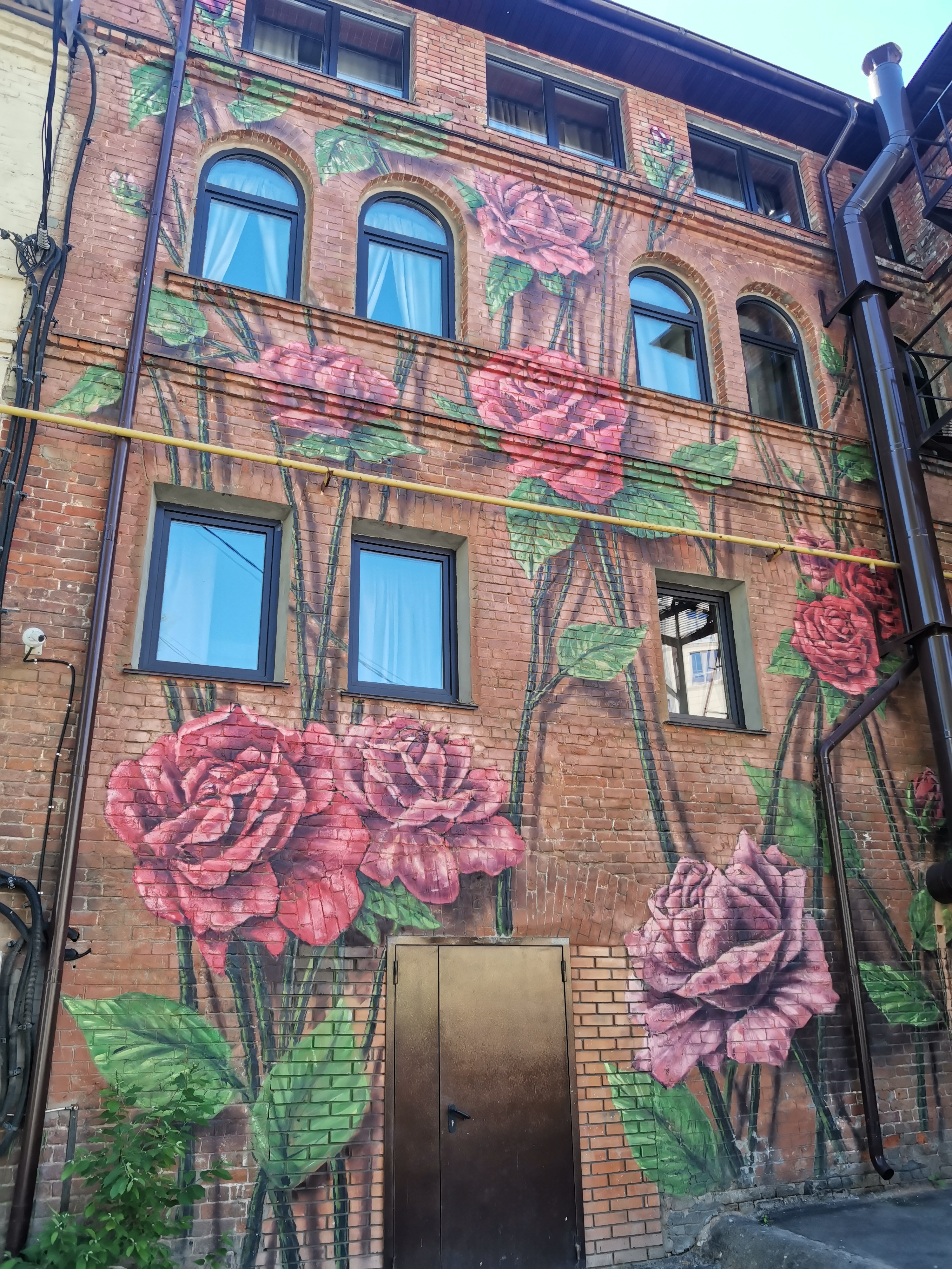 Фото Ботаника Лофт