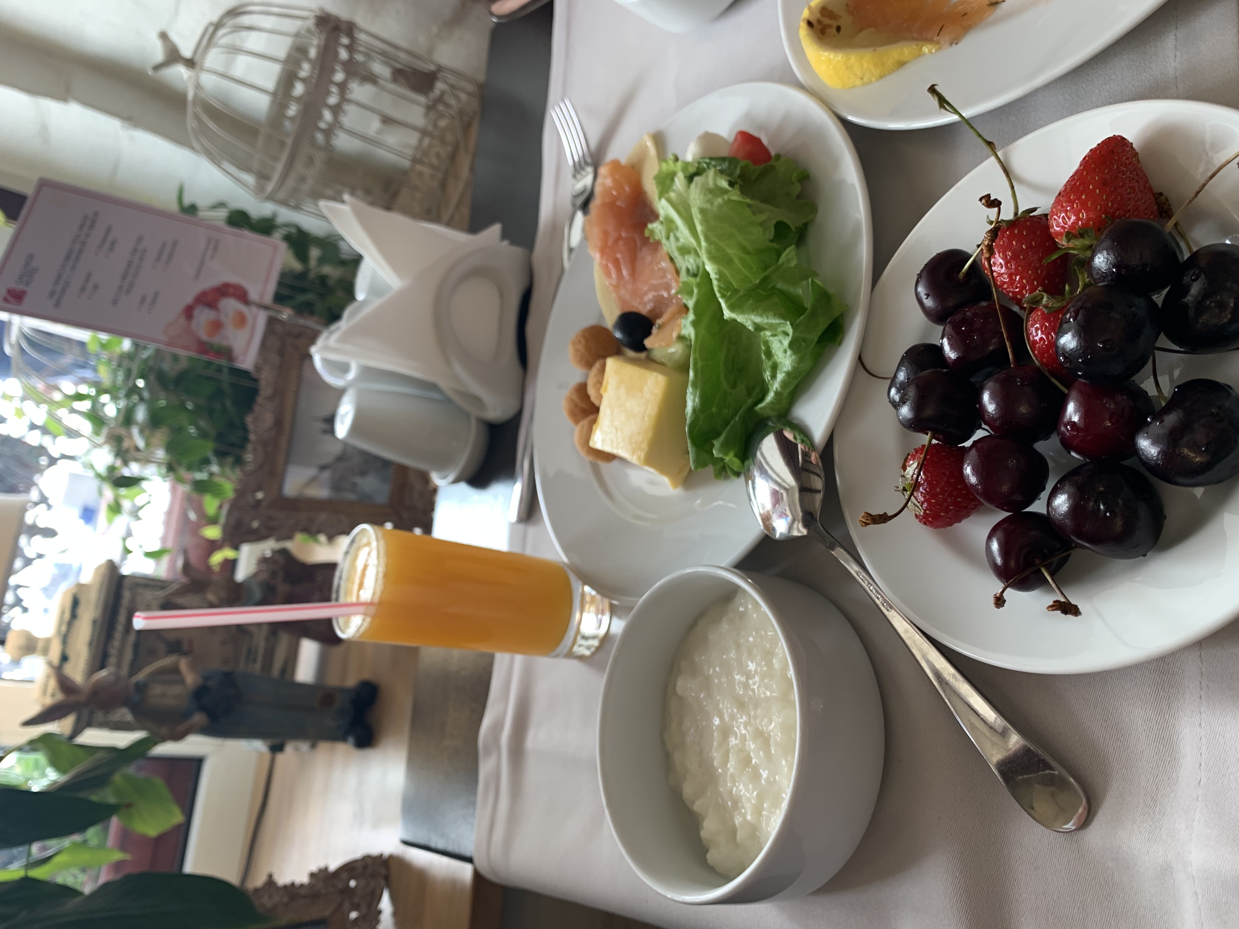 Фото Галунов