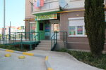 Кактус (Античный проспект, 8В), children's developmental center