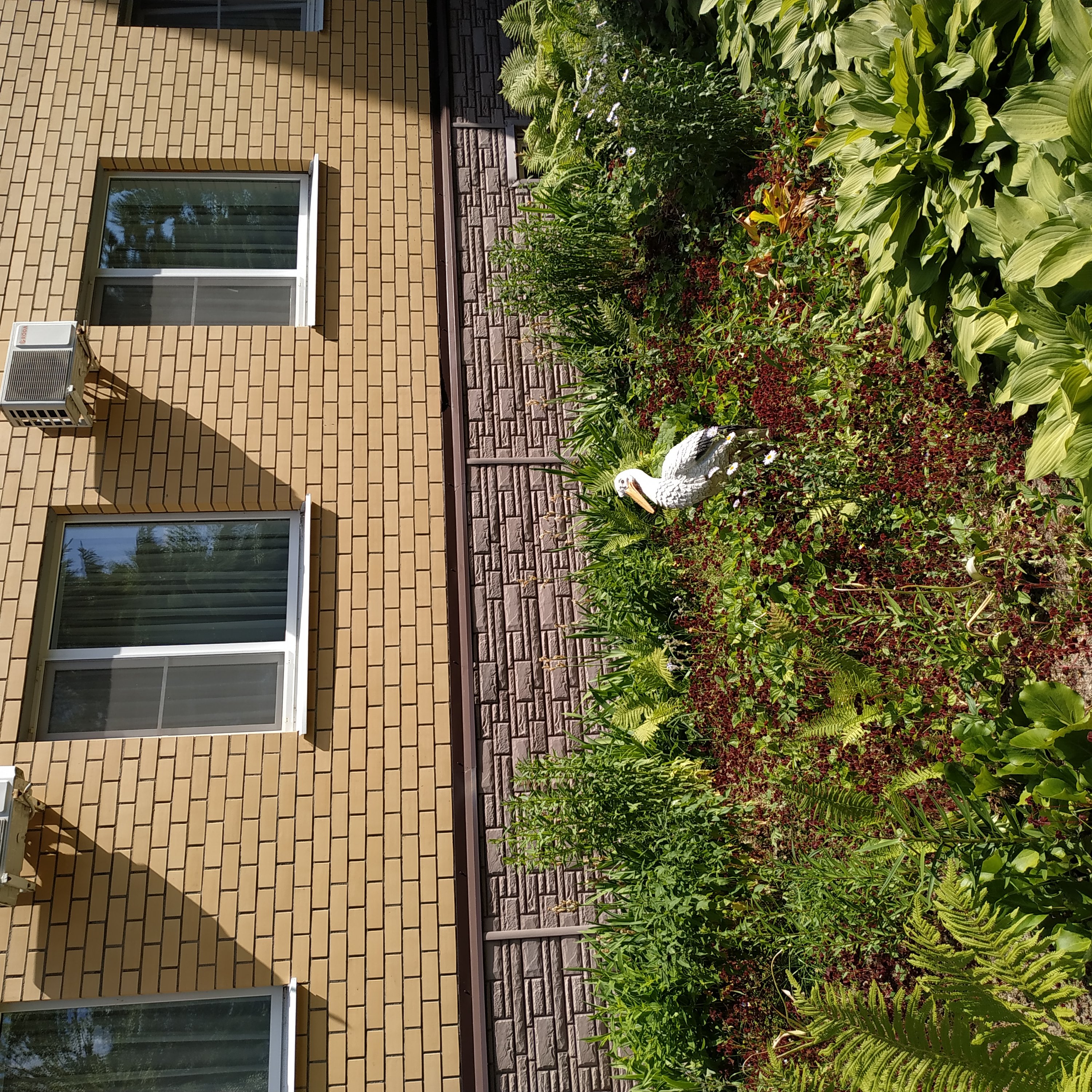 Фото Центр досуга и отдыха Оскар