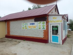 Натурист отбасының суреті