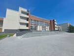 Федерация Тхэквондо Тульской области (Lenina Avenue, 84к1), club deportivo, sección