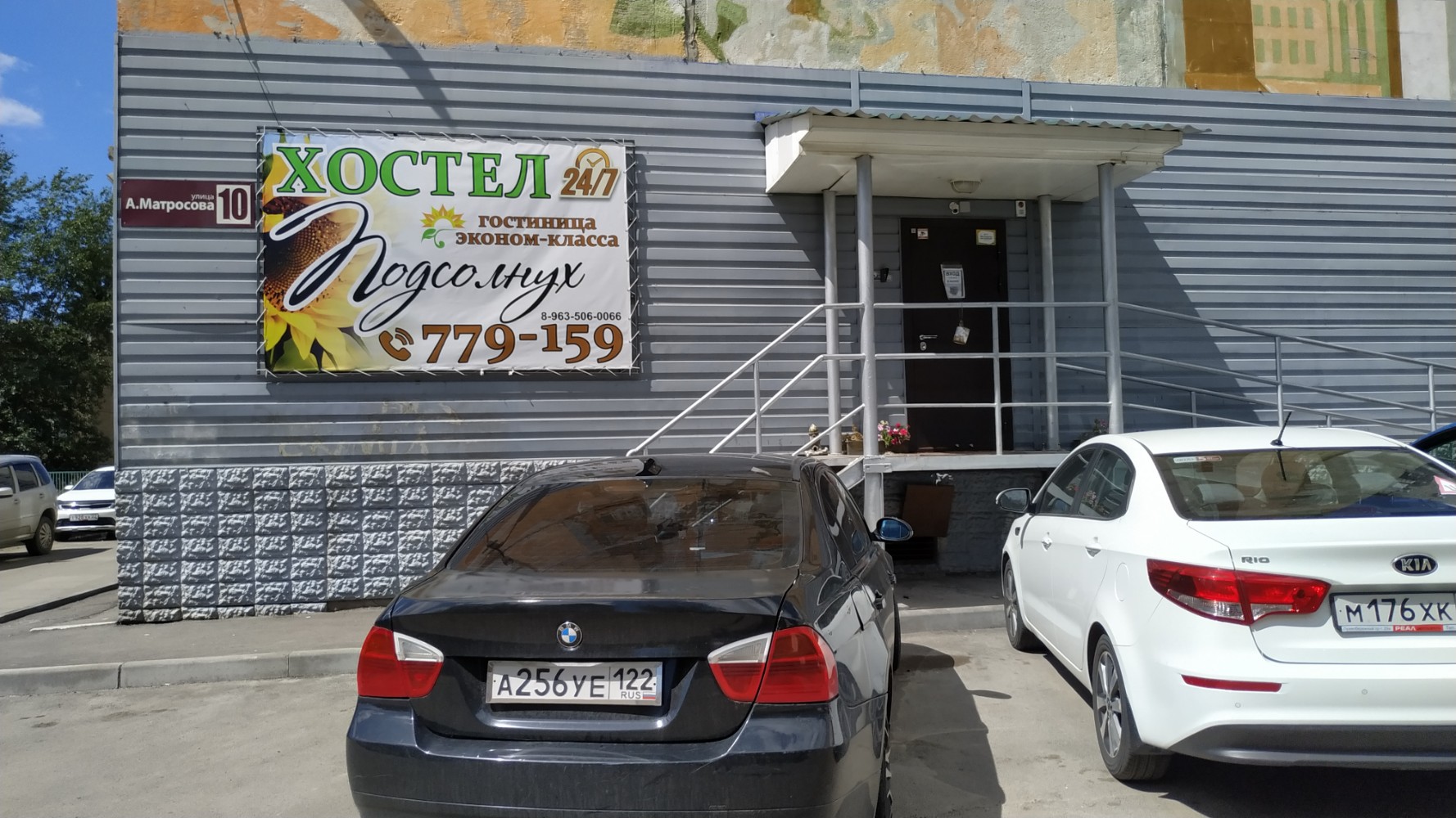 Фото Подсолнух