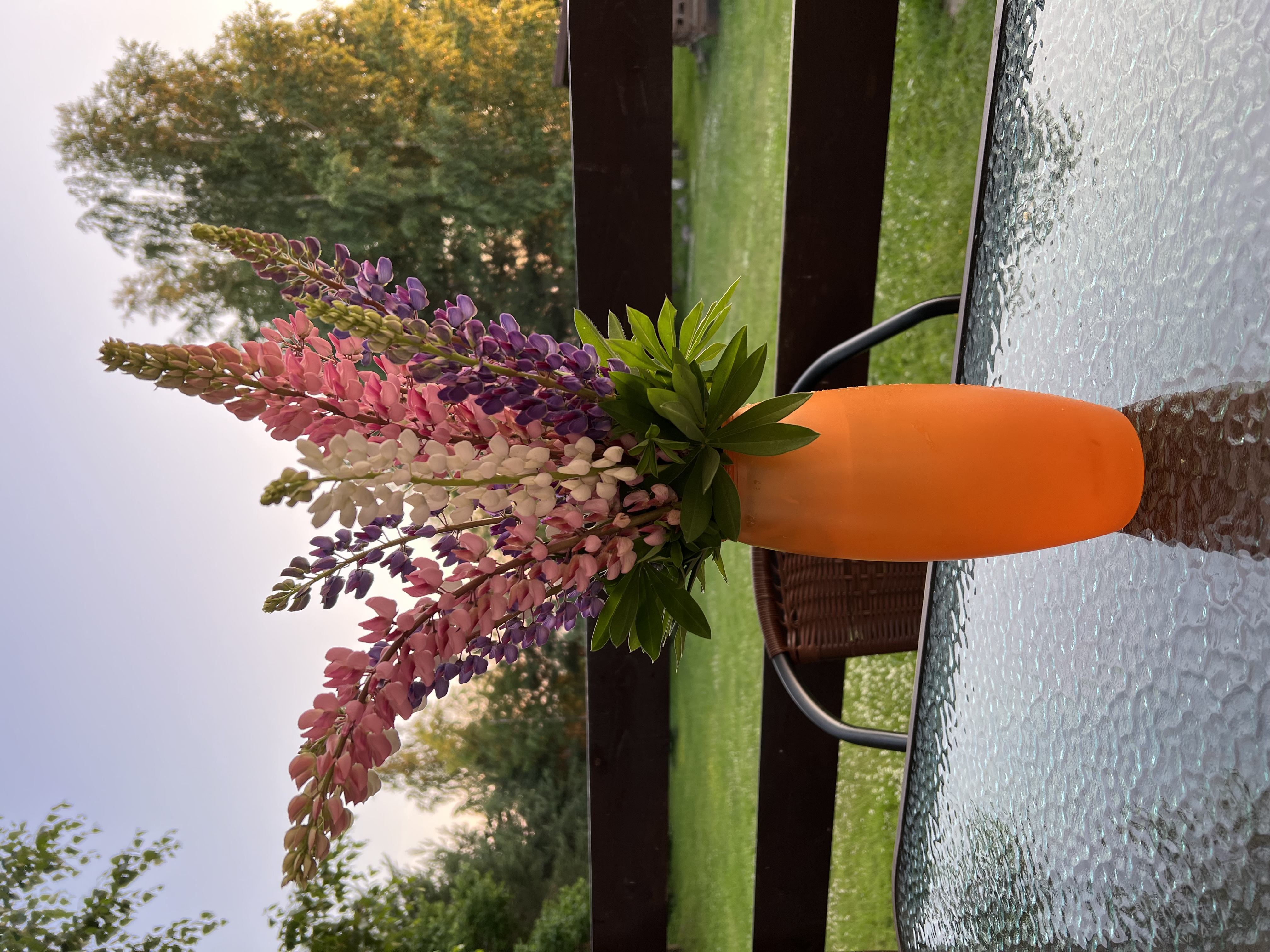 Фото Усадьба Заповедная