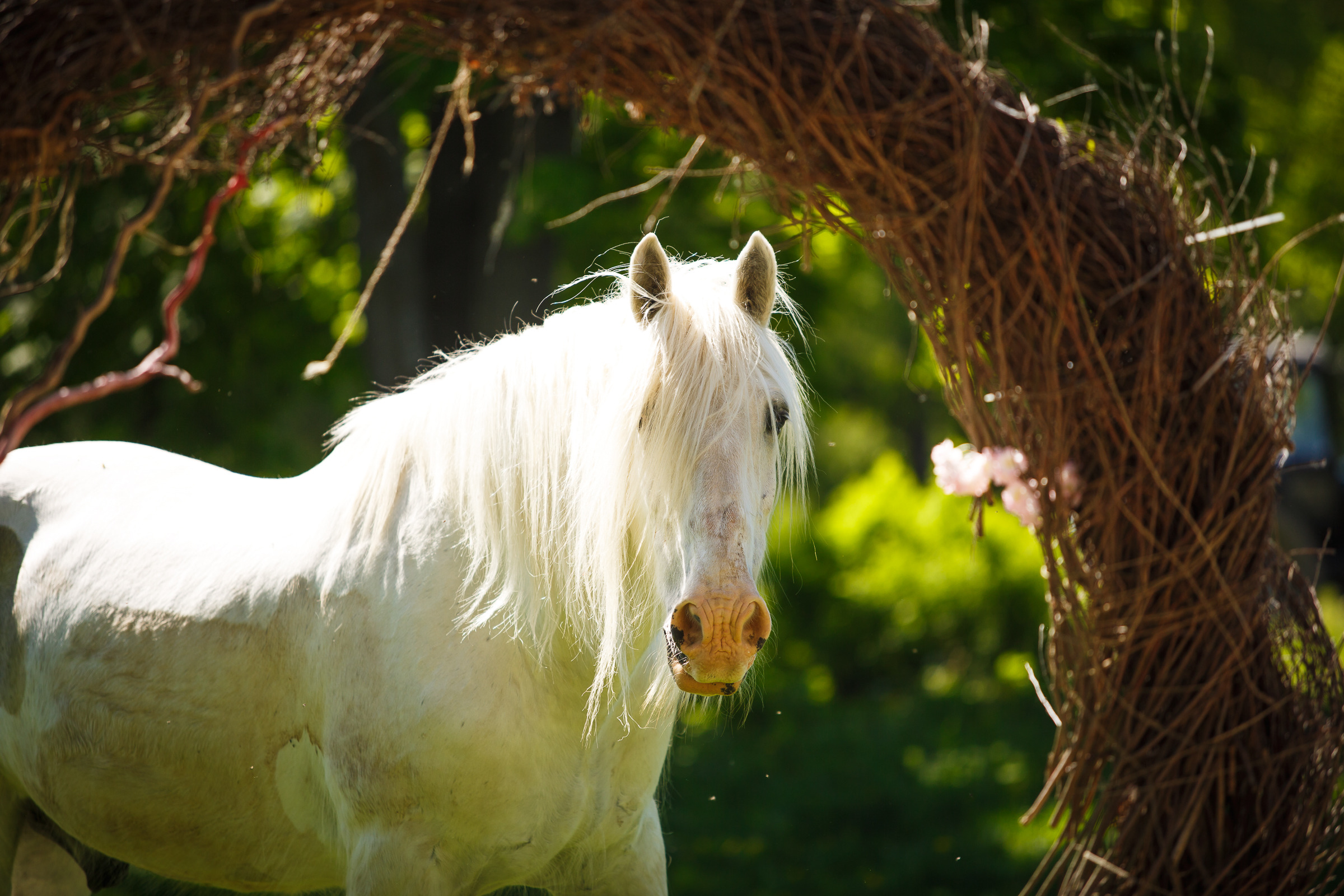 Фото Эко клуб Голицыно
