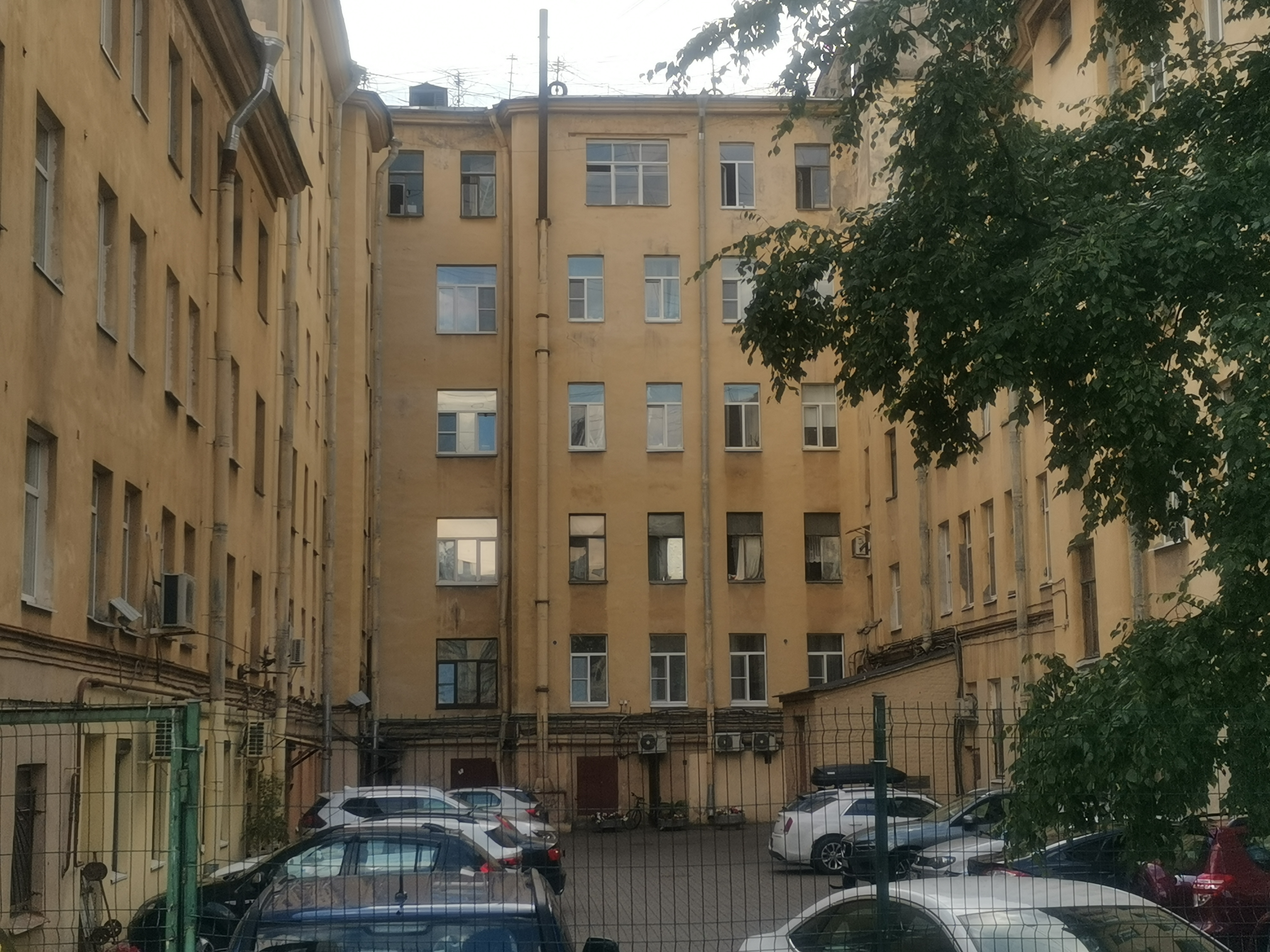 Фото Чижик-Пыжик