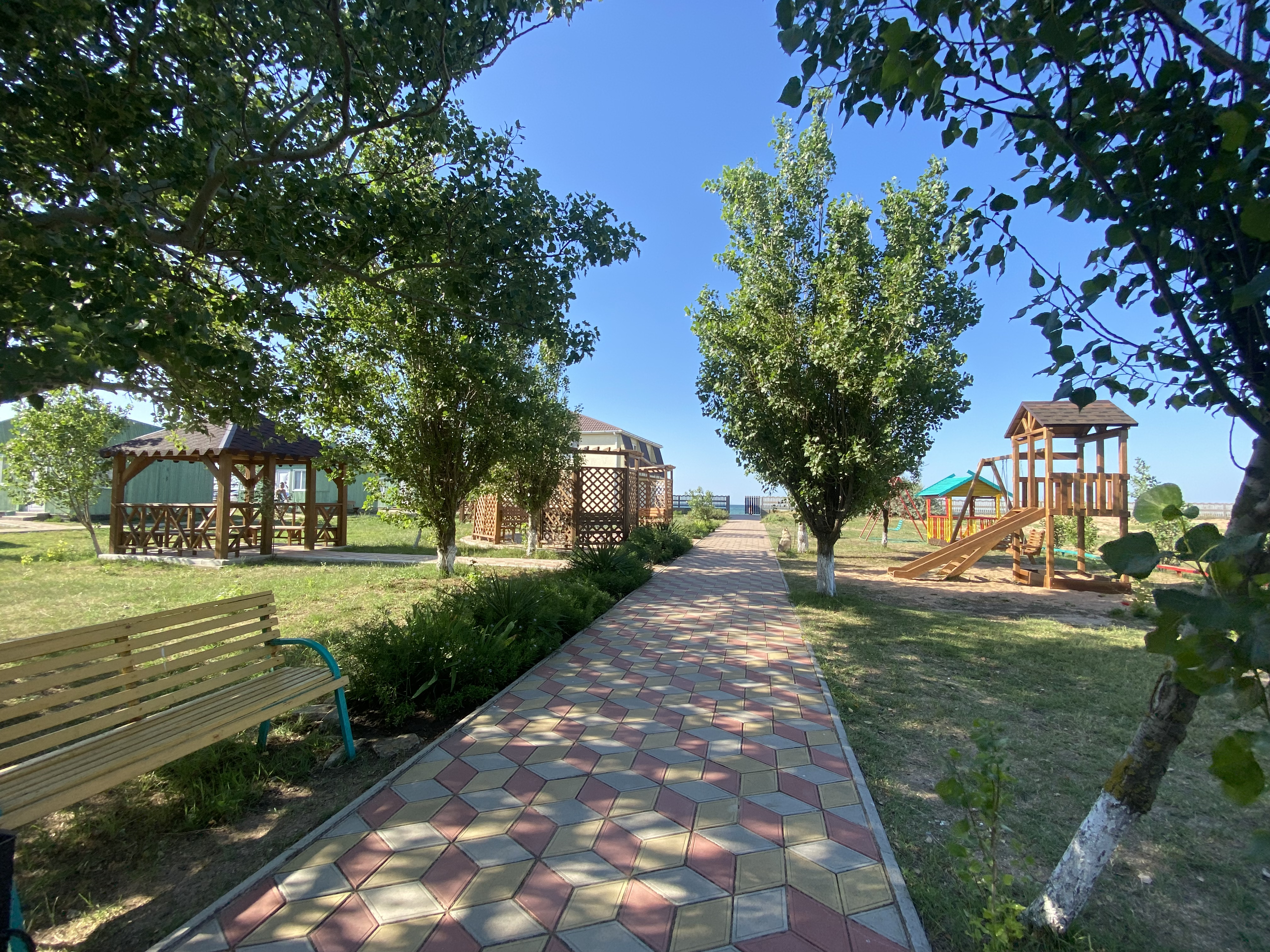 Фото Форвард