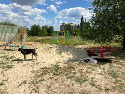 Администрация Администрация Ерзовского городского поселения Городищенского муниципального района Волгоградской области, Волгоградская область, фото