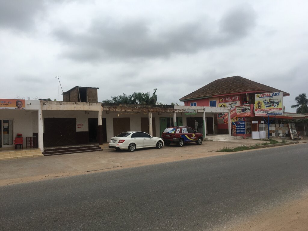 Seed shop Seed hun classics, Earth, photo