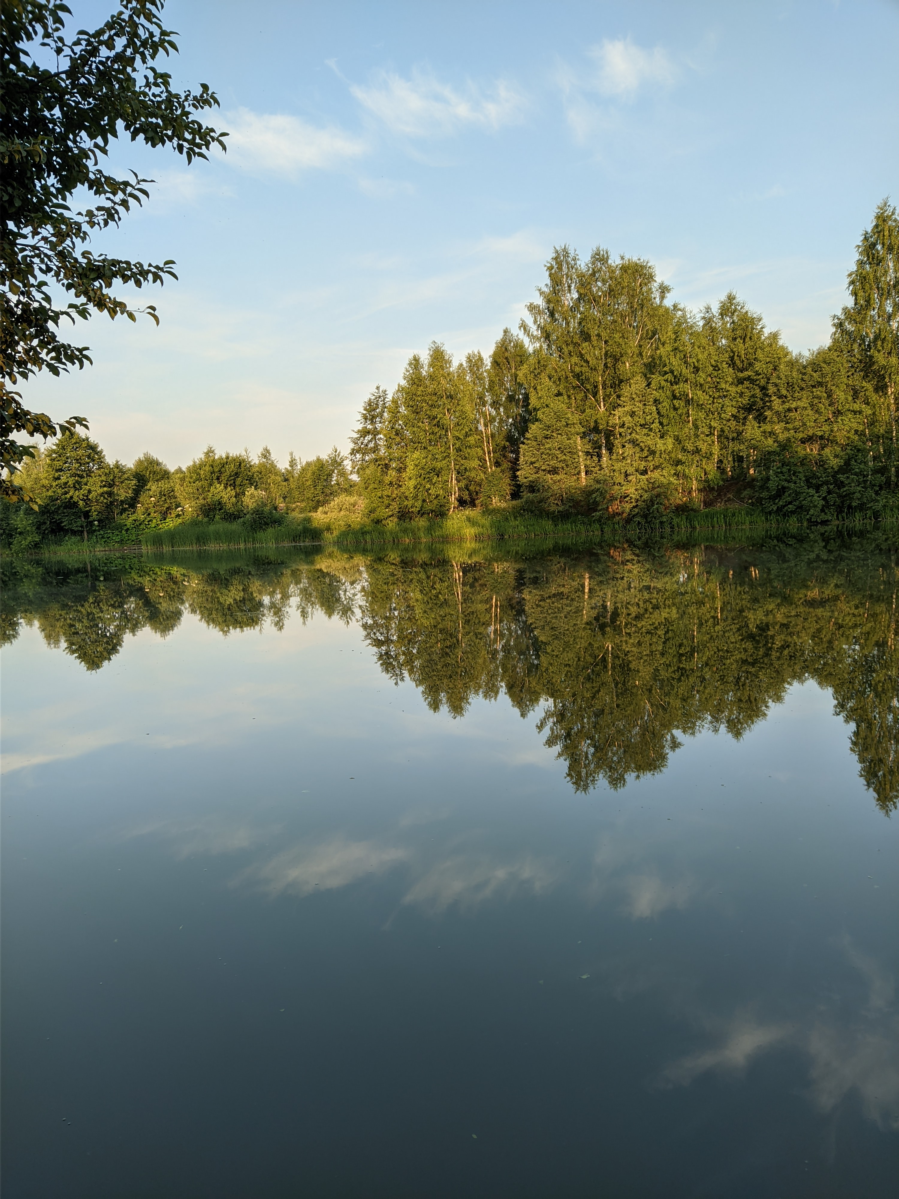 Фото Земляничная поляна