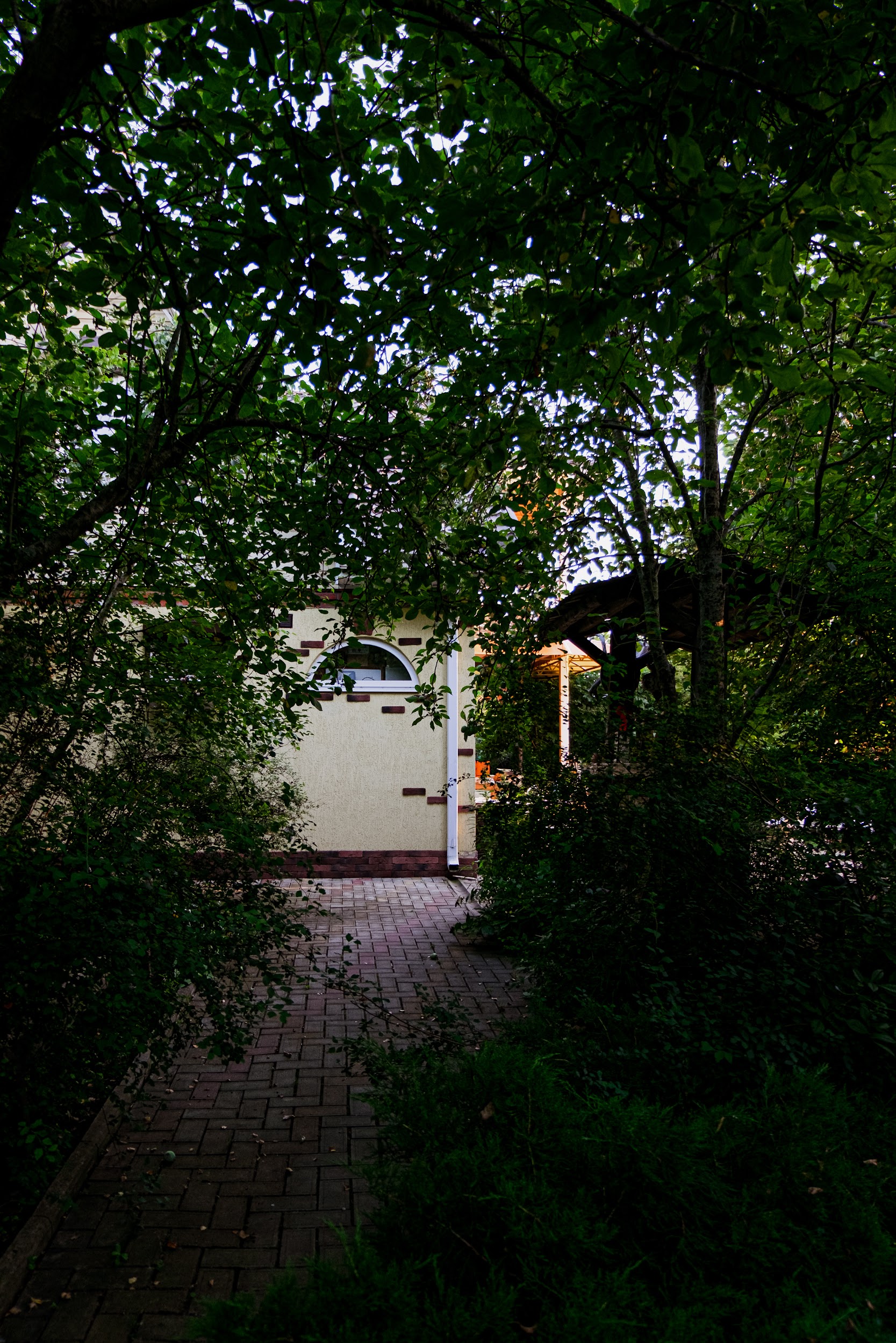 Фото Курочка Ряба