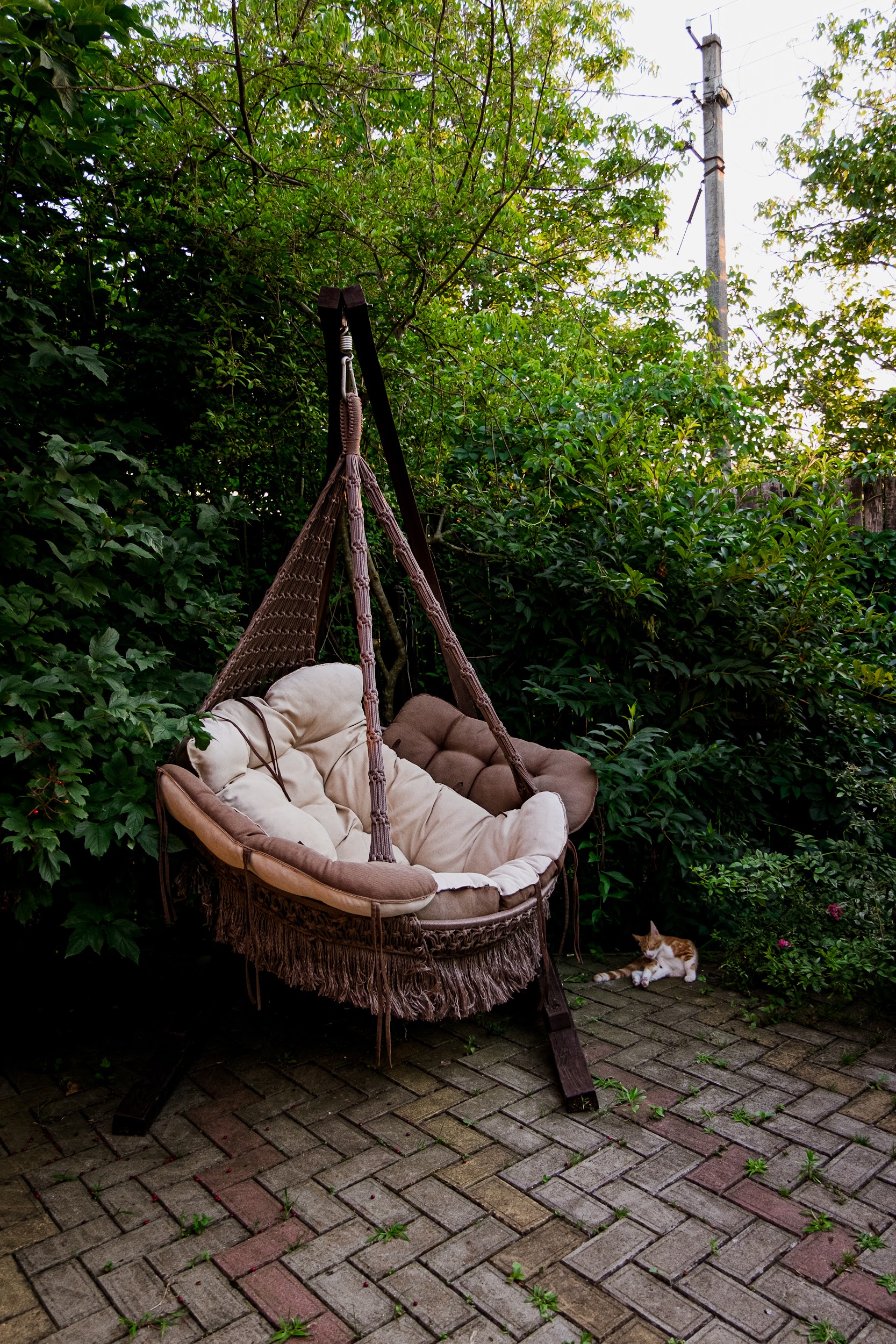 Фото Курочка Ряба