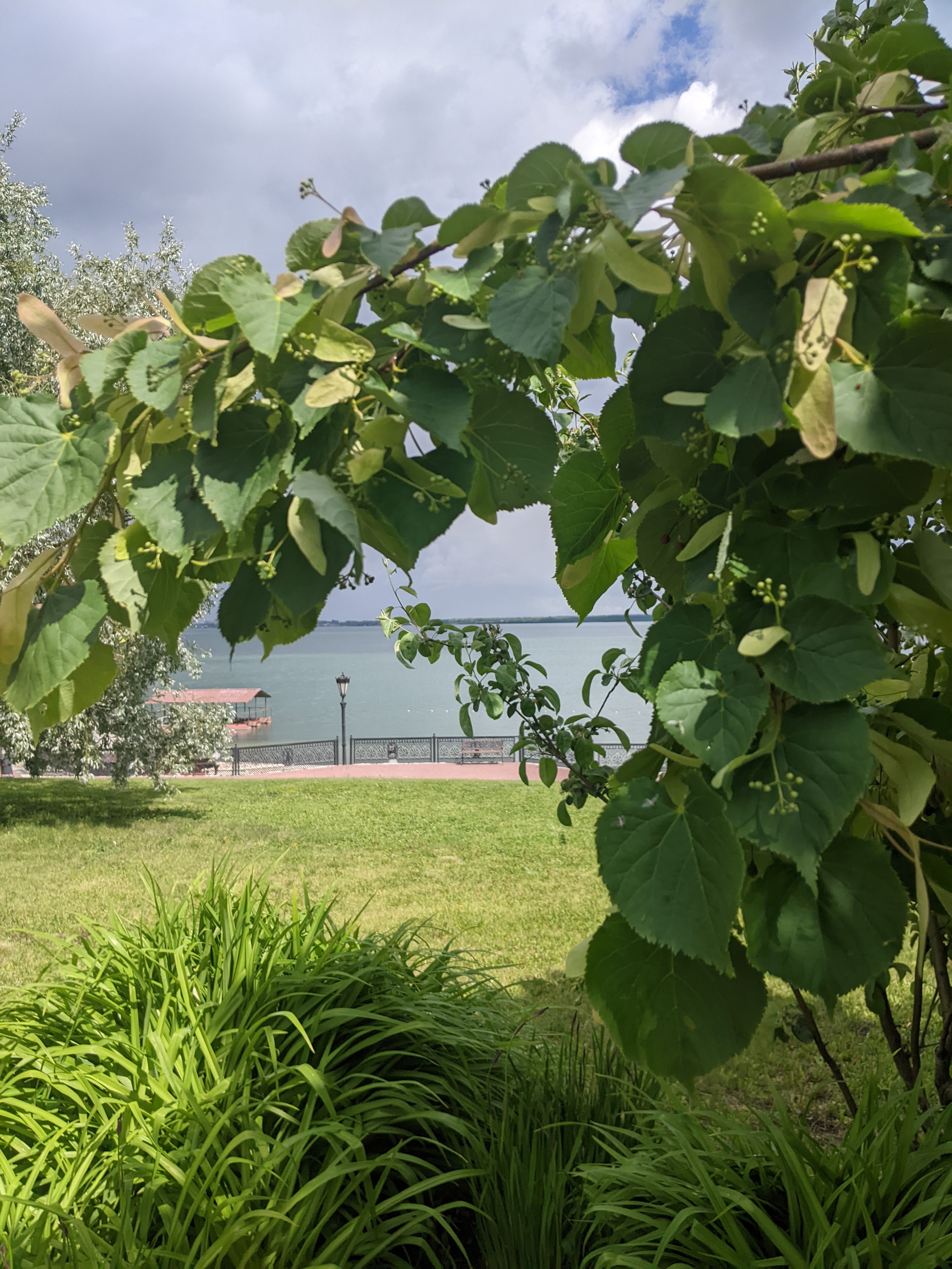 Фото SmolinoPark