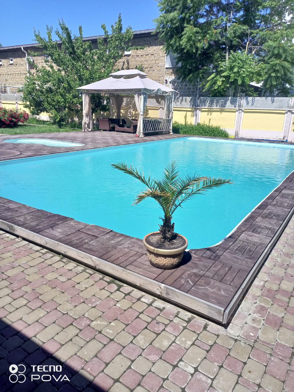 Фото Вероника