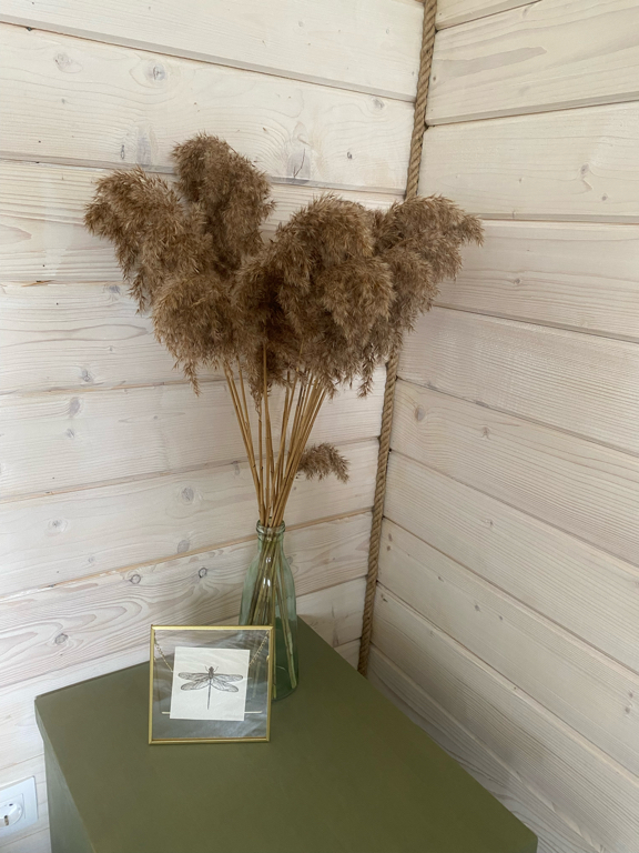 Фото Chuchemlya eco village