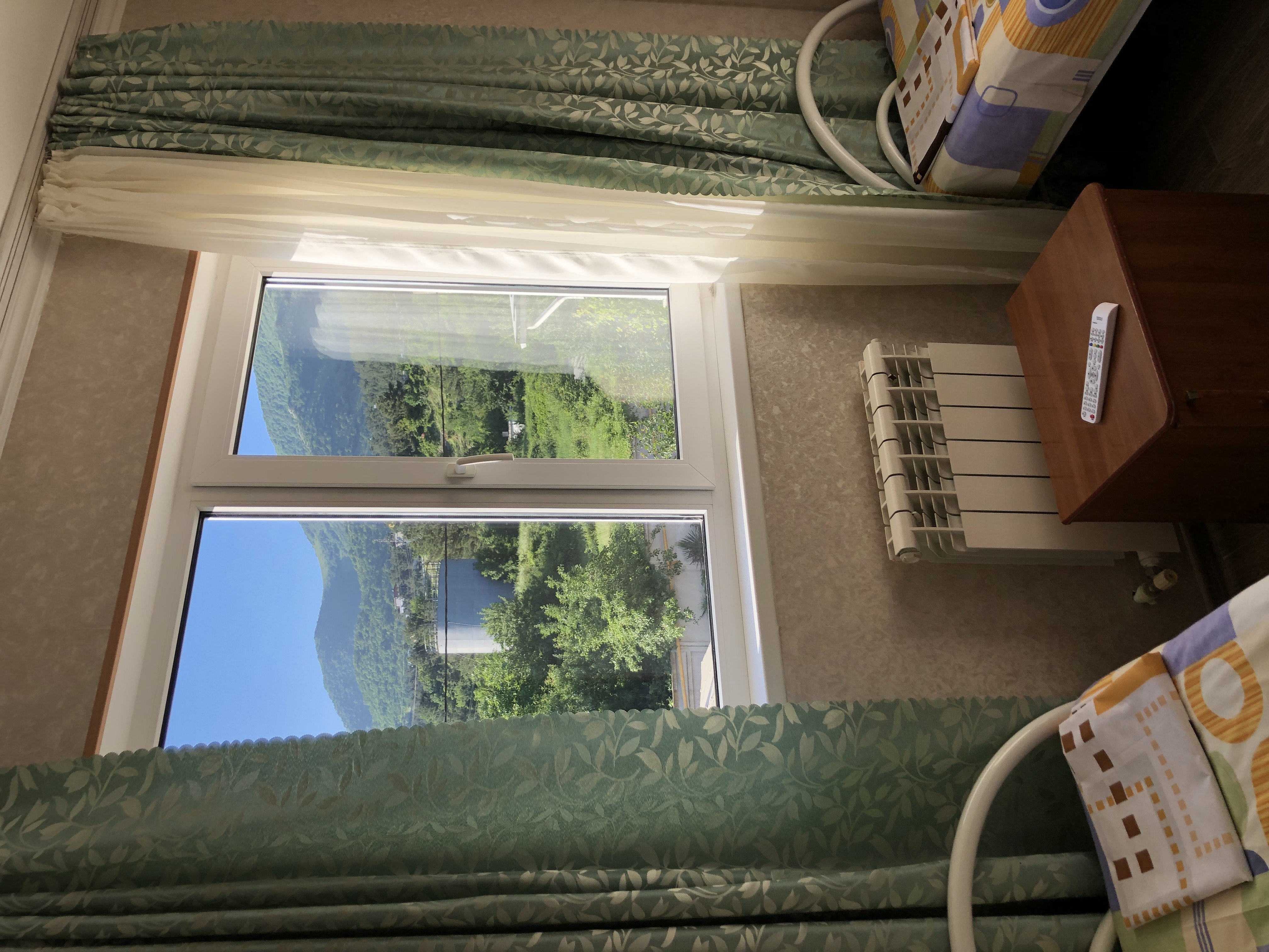 Фото Жасмин