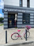 Flowerlogy (Moscow, Novomoskovskiy Administrative Okrug, Vnukovo District, Lyotchika Ulyanina Street, 3А), flower shop