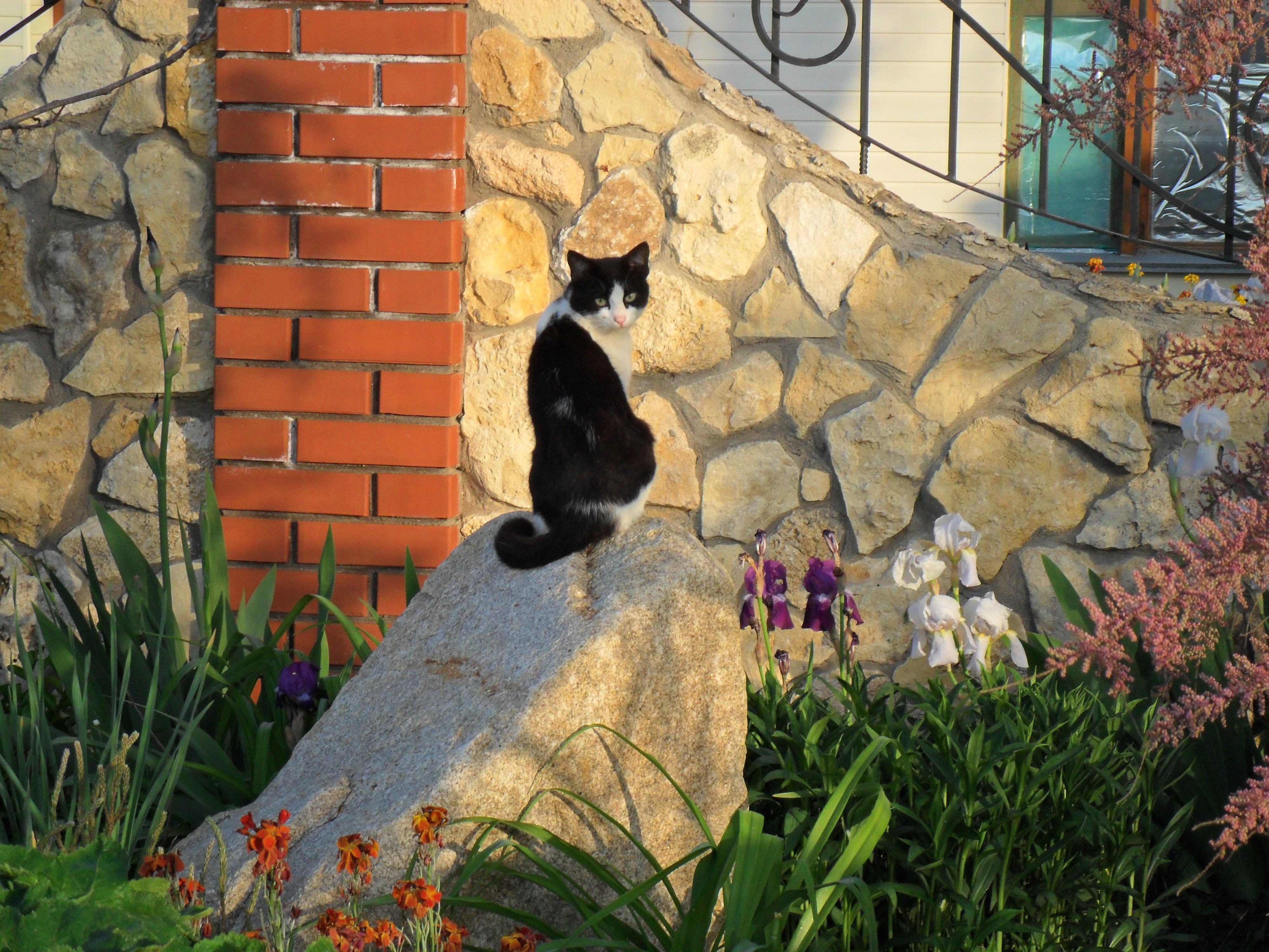 Фото КристОля