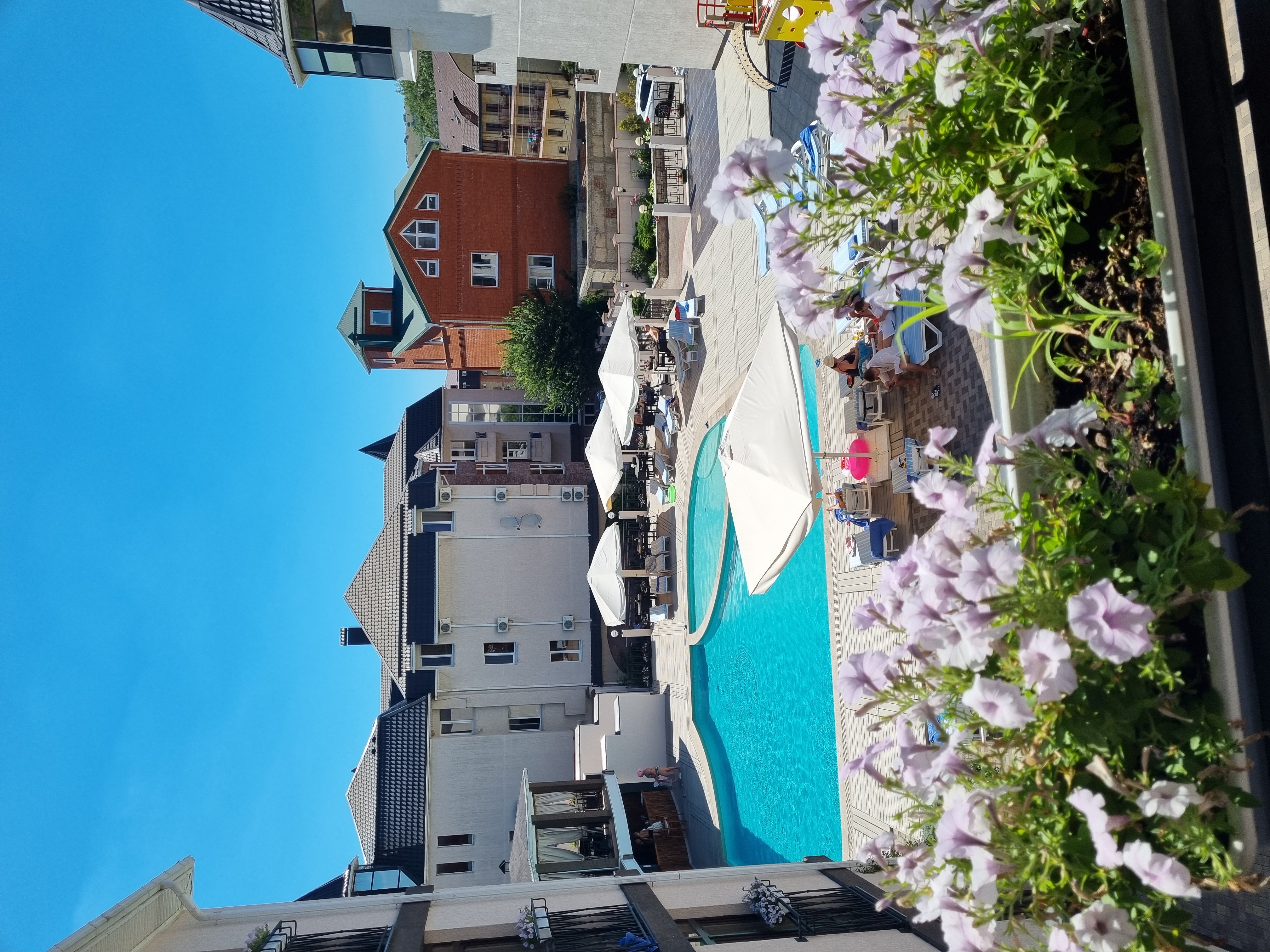 Фото Дельмонт