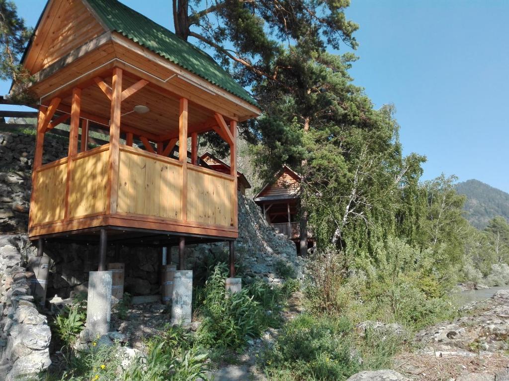 Фото Альбатрос