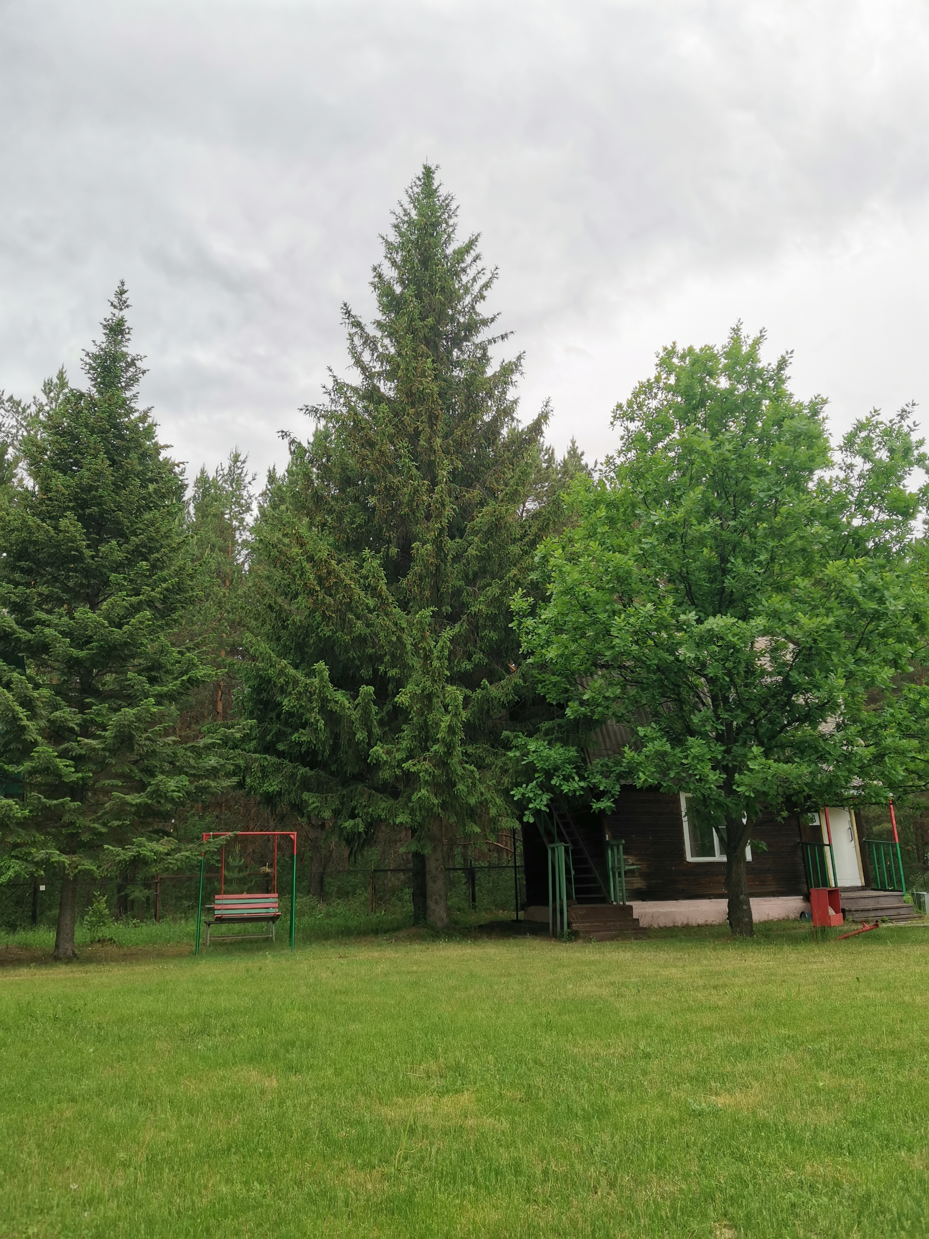 Фото Зелёная поляна