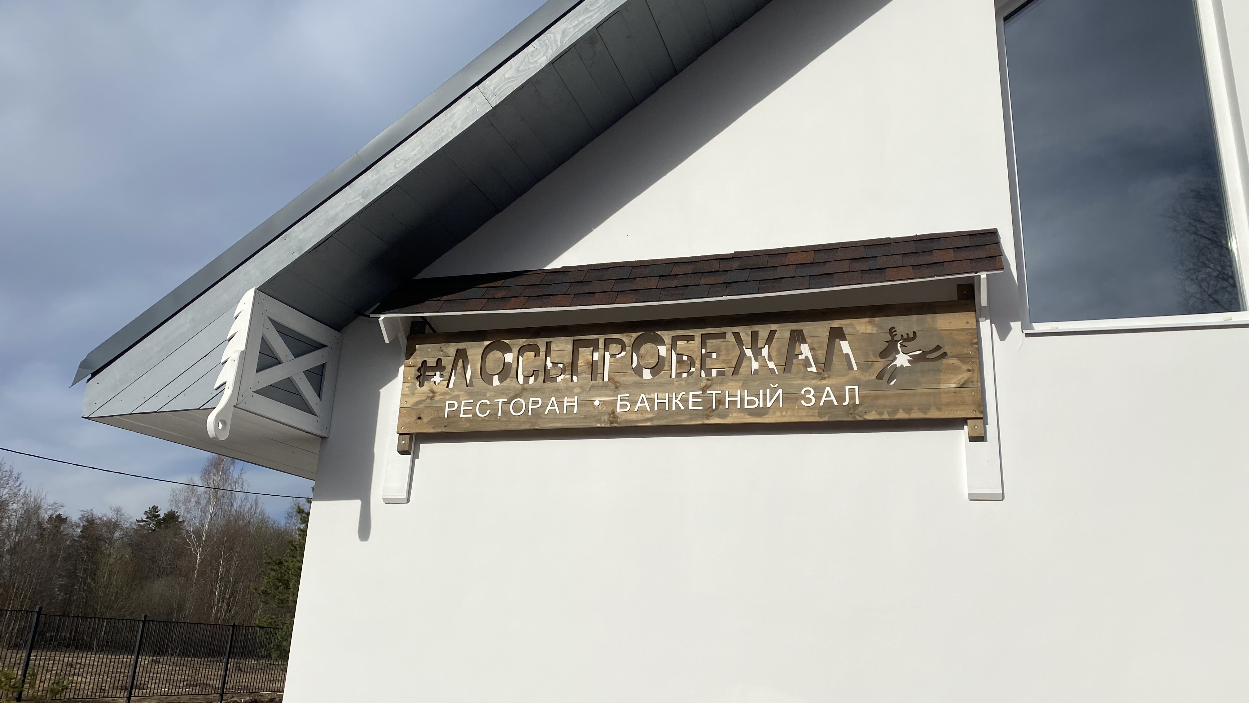 Фото Лосьпробежал