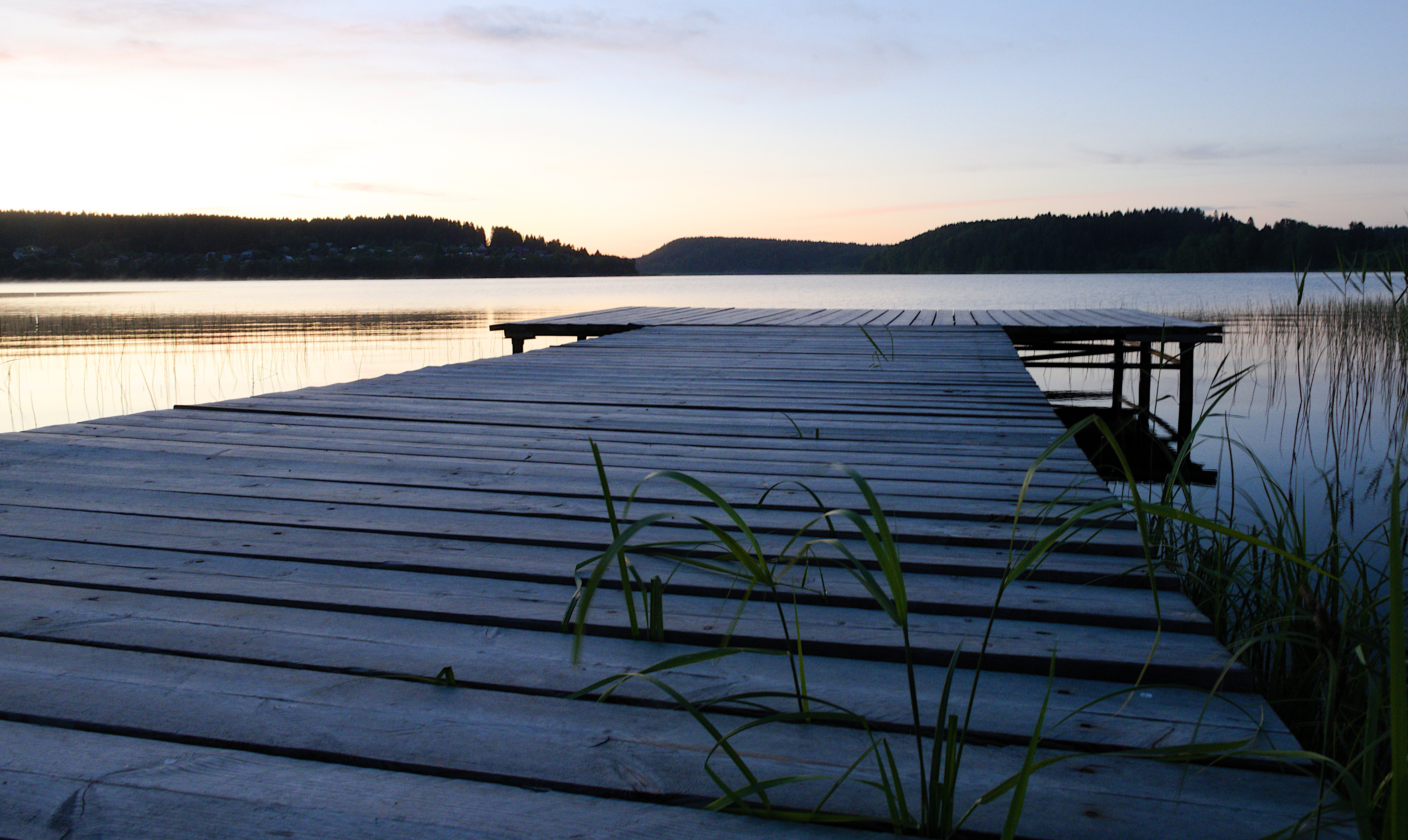 Фото Черника в Сонном заливе