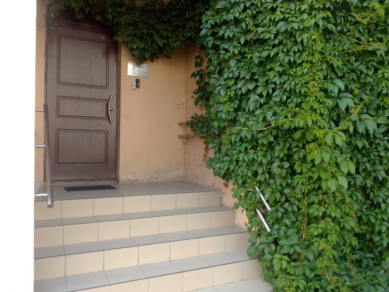 Фото Потёмкин на Шпалерной