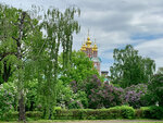 Church of the Transfiguration of the Savior (Novodevichy Drive, 1), orthodox church