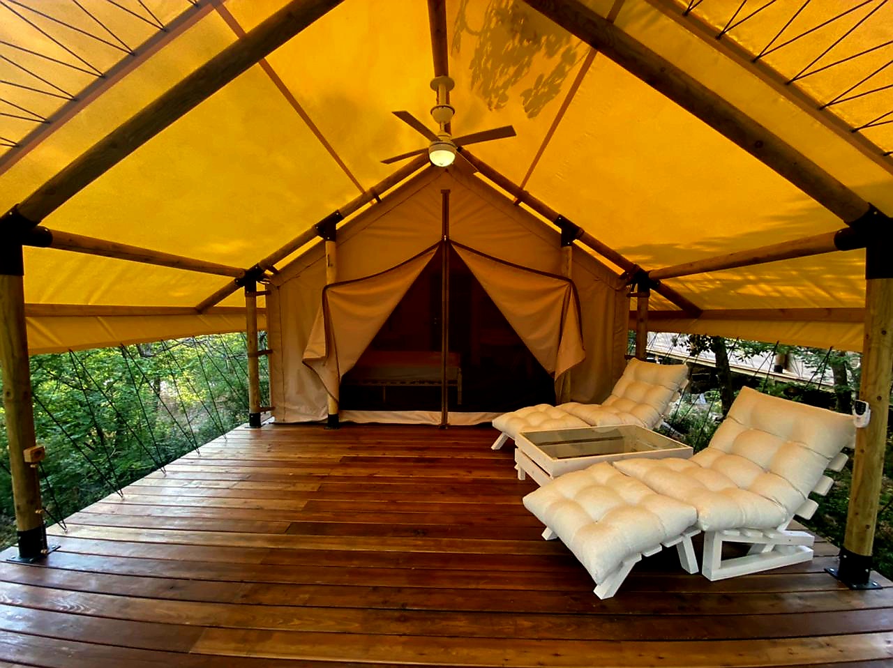 Фото Звезда