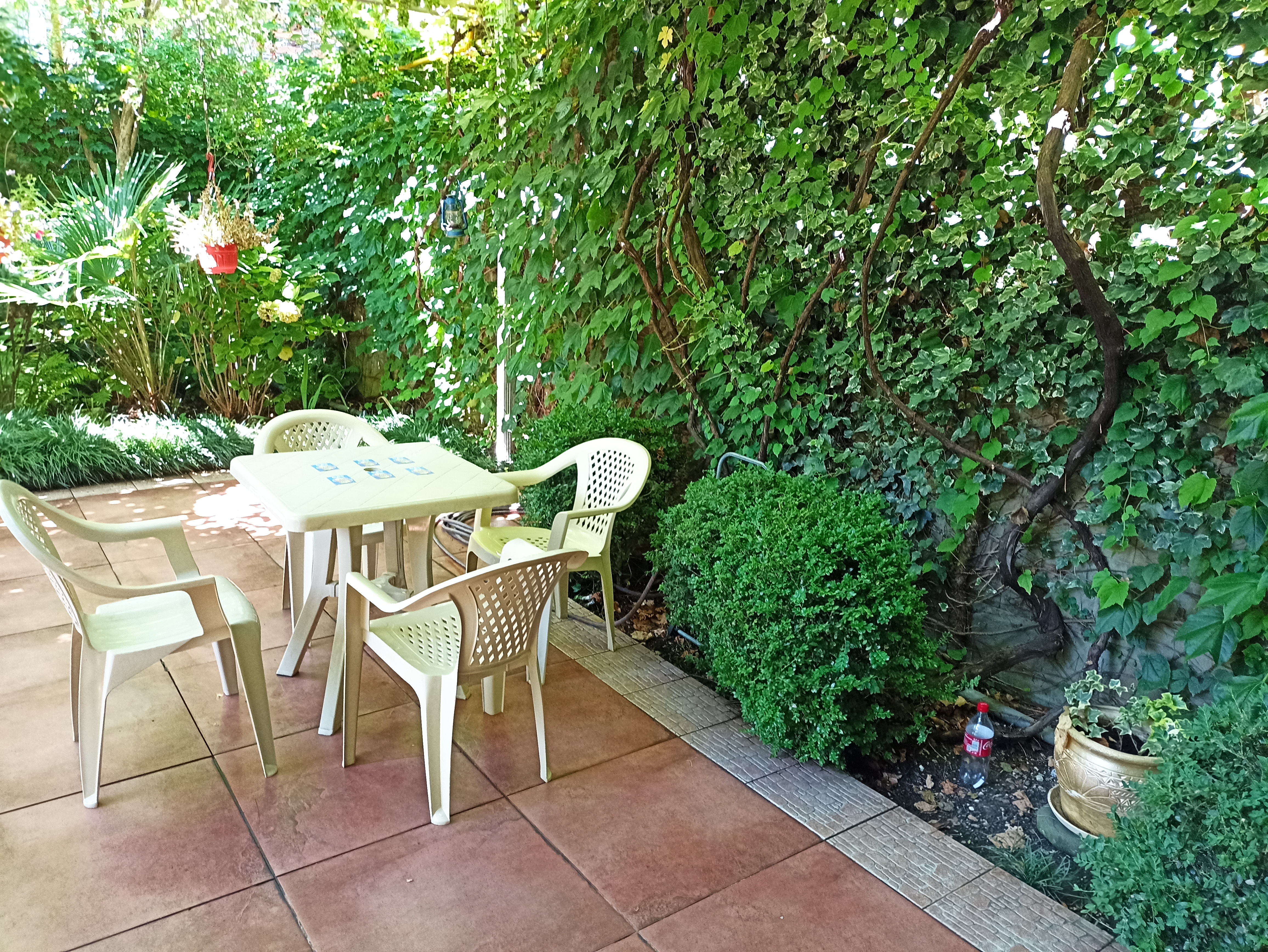 Фото Солоники