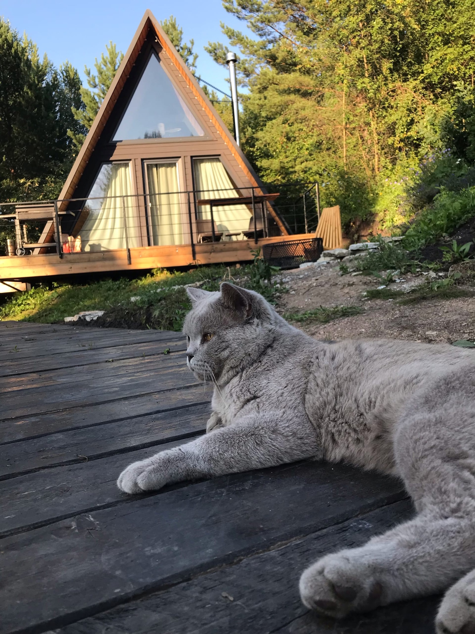 Фото Белкин дом