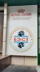 Бэст (ул. Фрунзе, 57, Новосибирск), ветеринарная клиника в Новосибирске